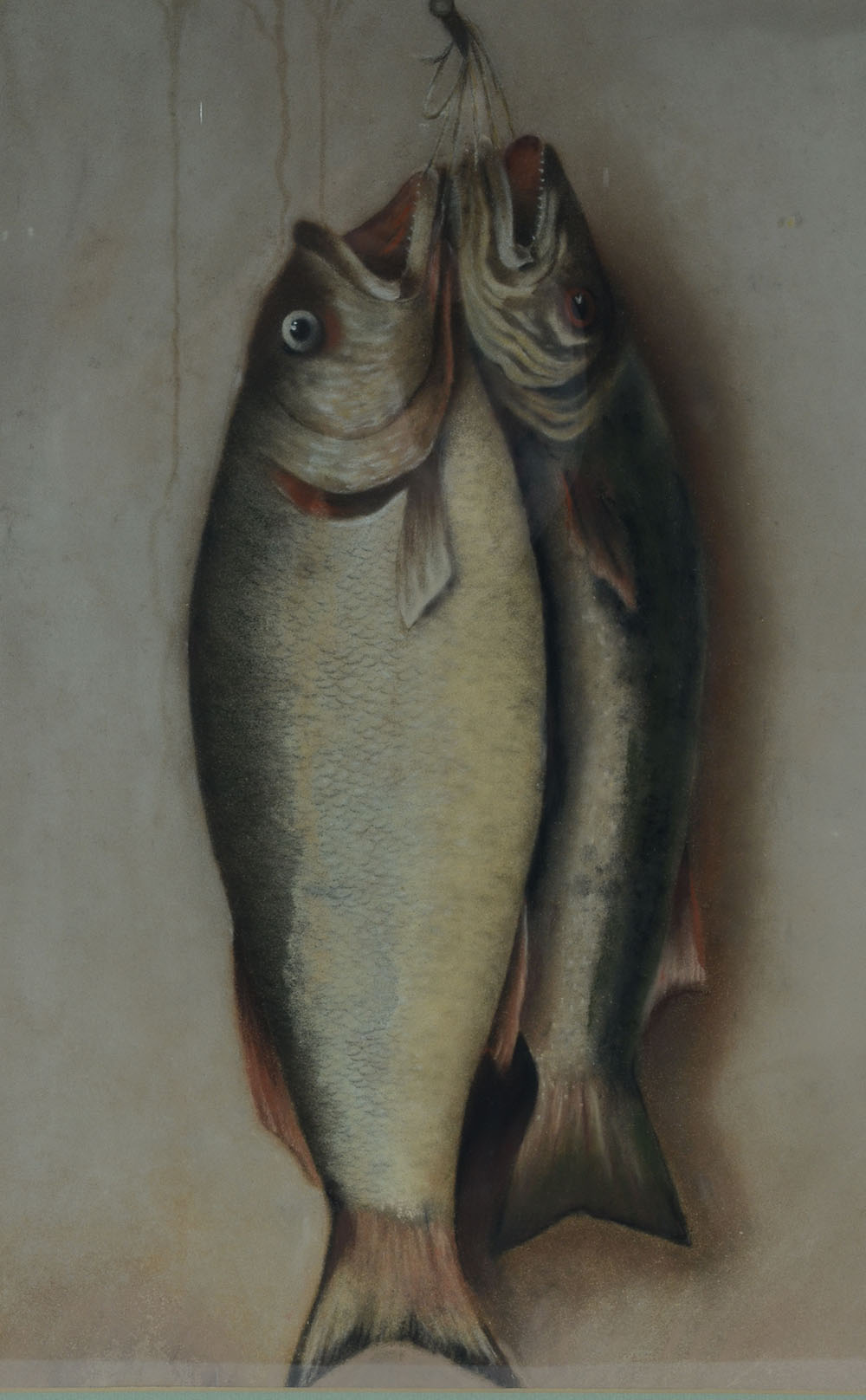 Antique Original Pastel Drawing of Caught Fish