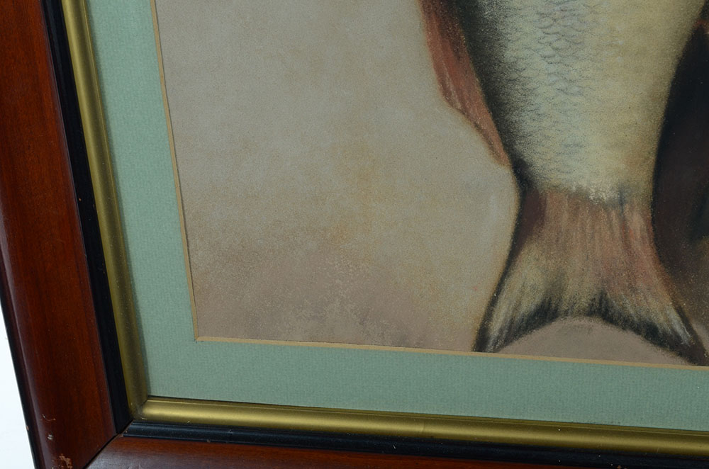 Antique Original Pastel Drawing of Caught Fish