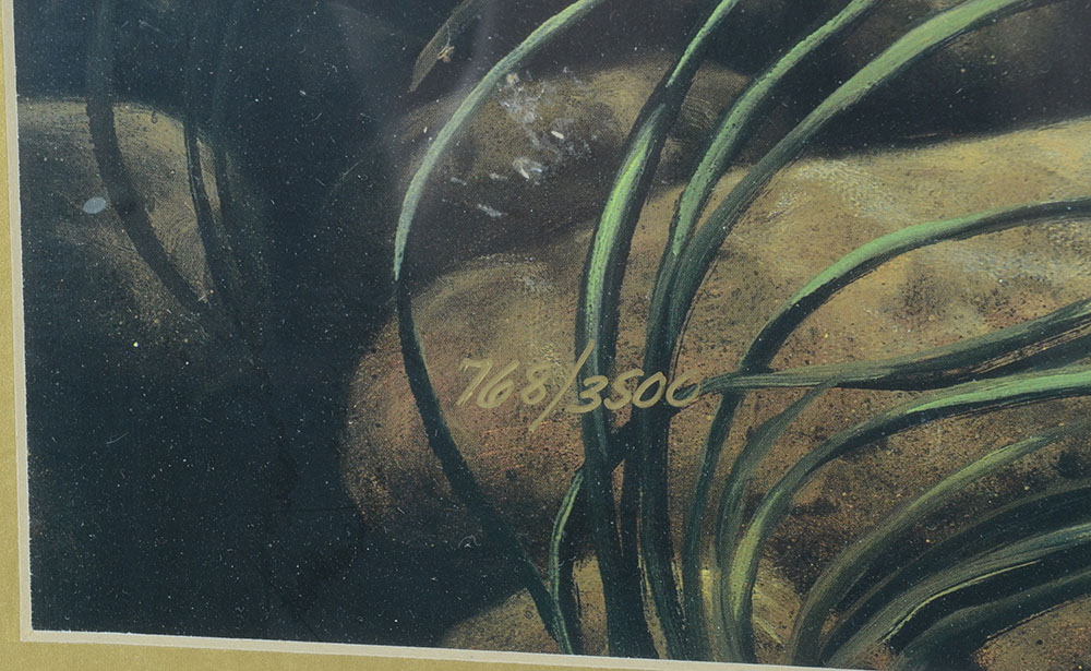 Fred W. Thomas Signed L/E "White Water Brown" Offset Lithograph