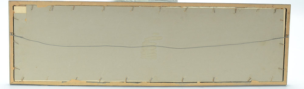 Chippewa Lake Park Panoramic Photo