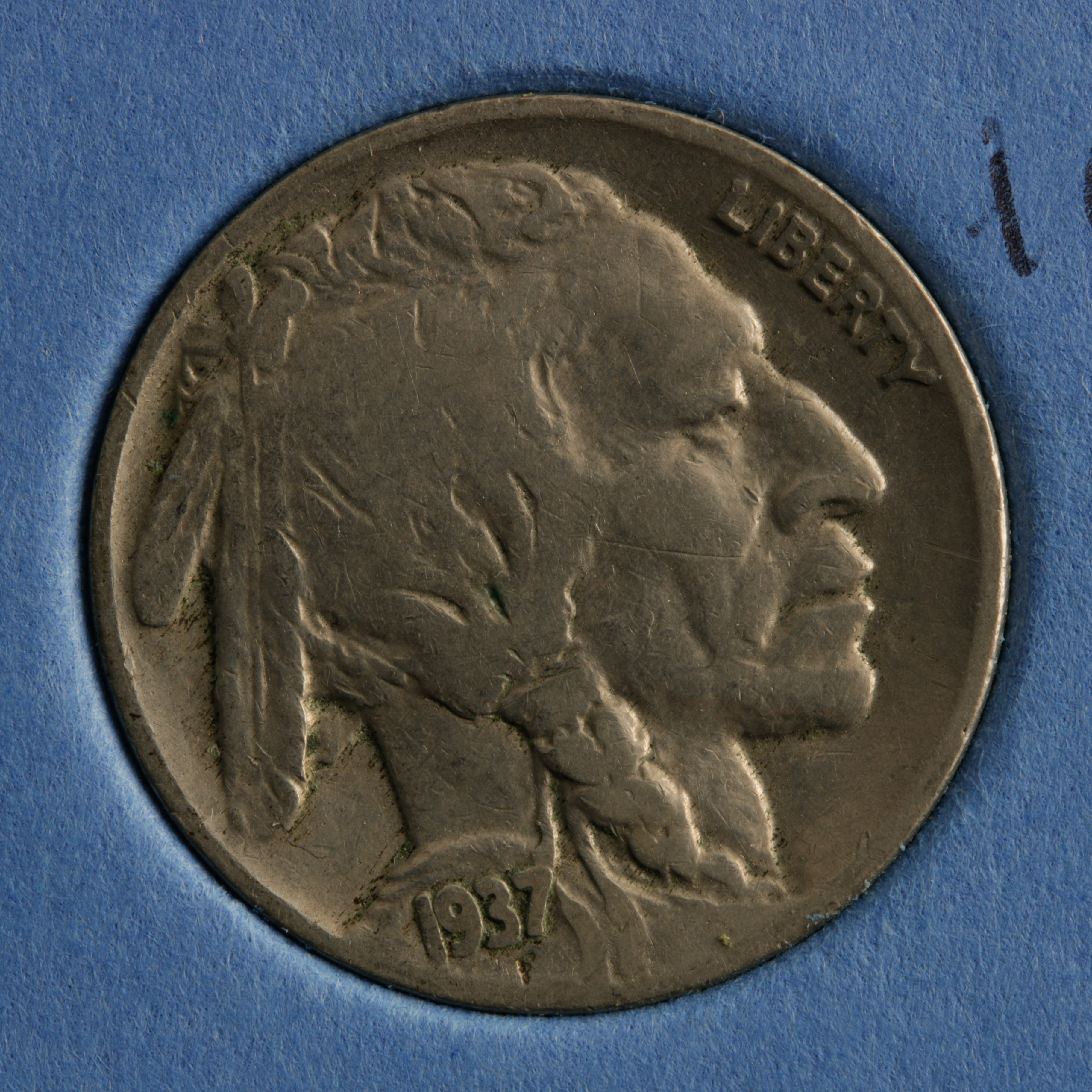 Group of 24 Buffalo Nickels in a Whitman Coin Folder Ranging in Age from 1914 to 1937