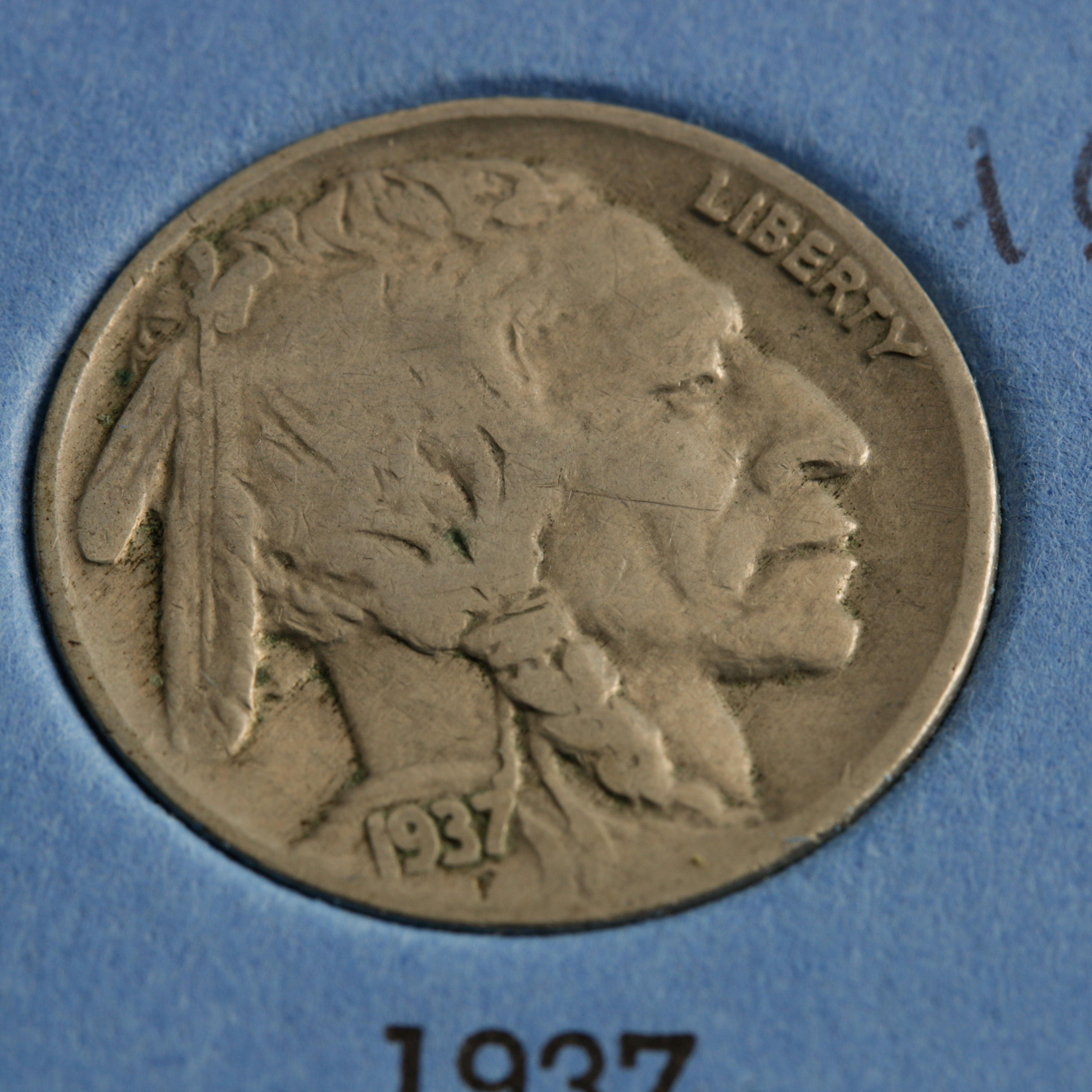Group of 24 Buffalo Nickels in a Whitman Coin Folder Ranging in Age from 1914 to 1937
