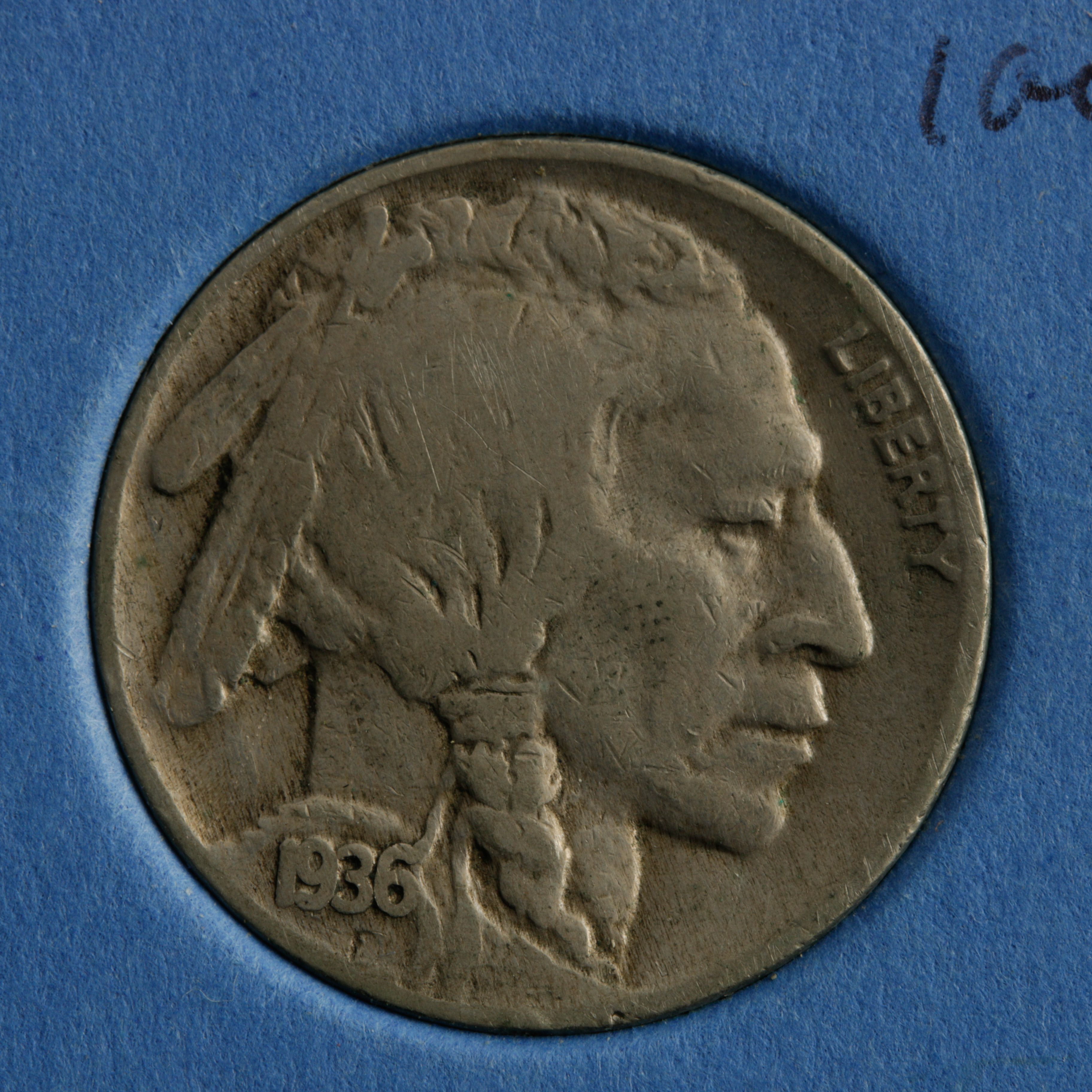 Group of 42 Buffalo Nickels in a Whitman Coin Folder Ranging in Age from 1913 to 1938