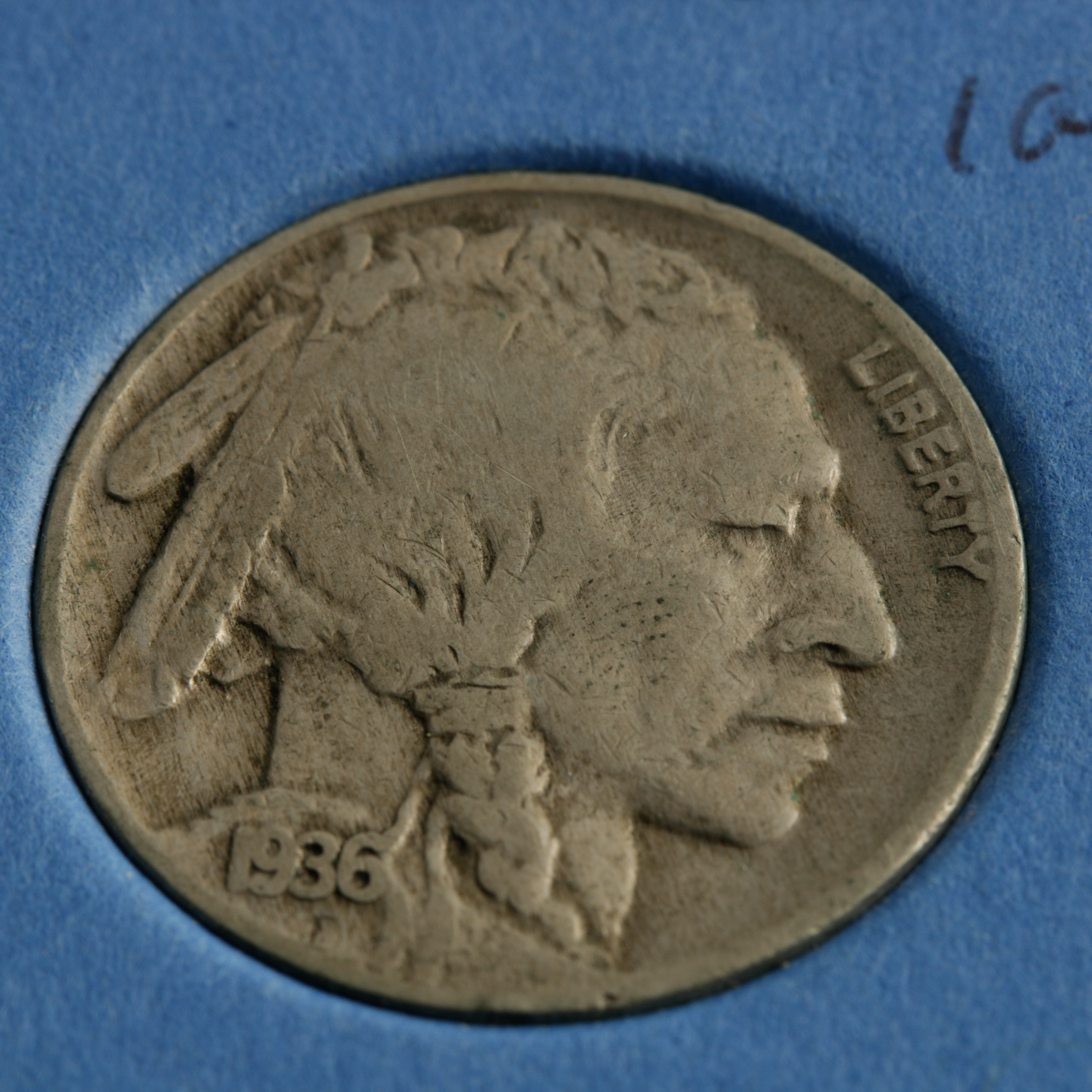 Group of 42 Buffalo Nickels in a Whitman Coin Folder Ranging in Age from 1913 to 1938