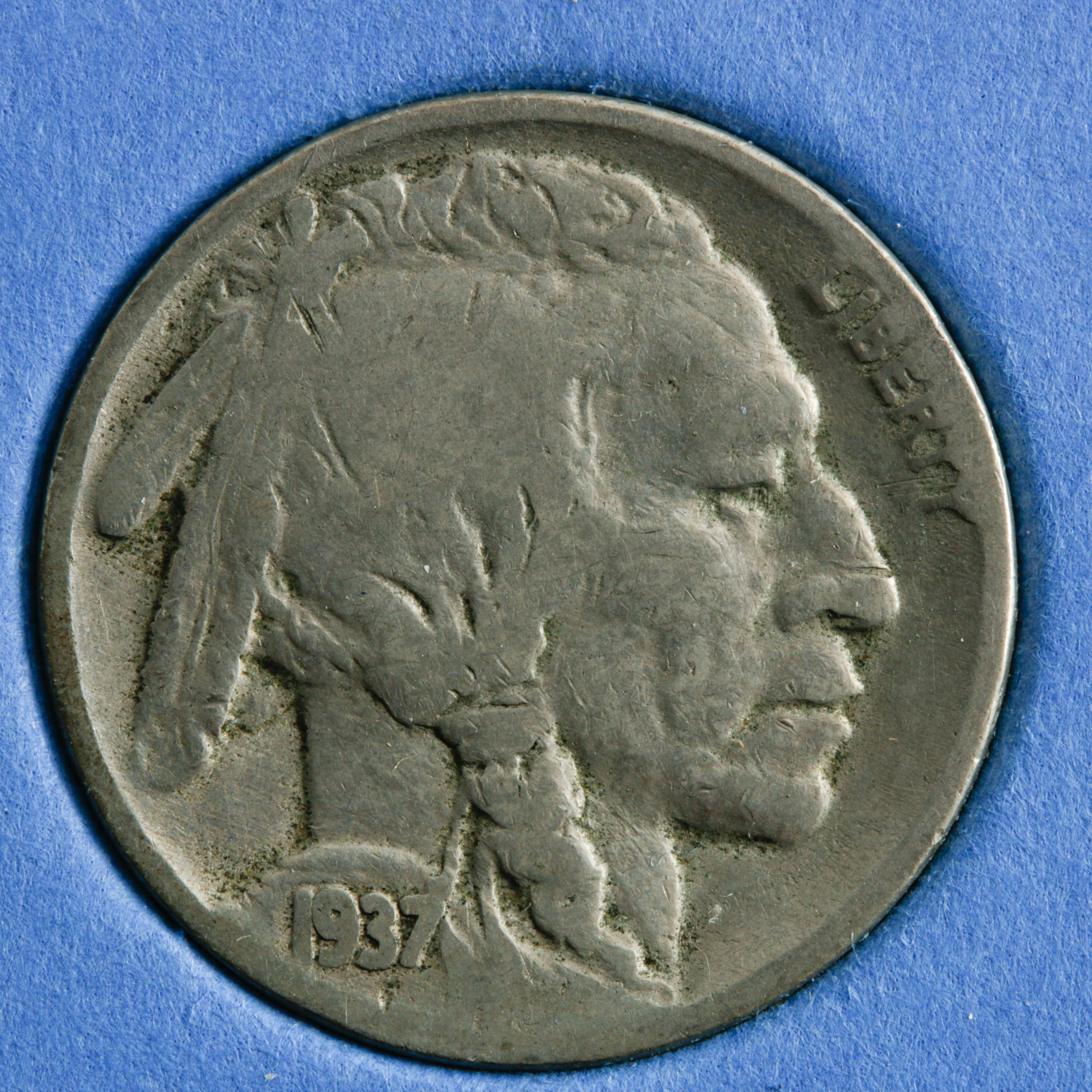 Group of 23 Buffalo Nickels in a Whitman Coin Folder Ranging in Age from 1913 to 1938