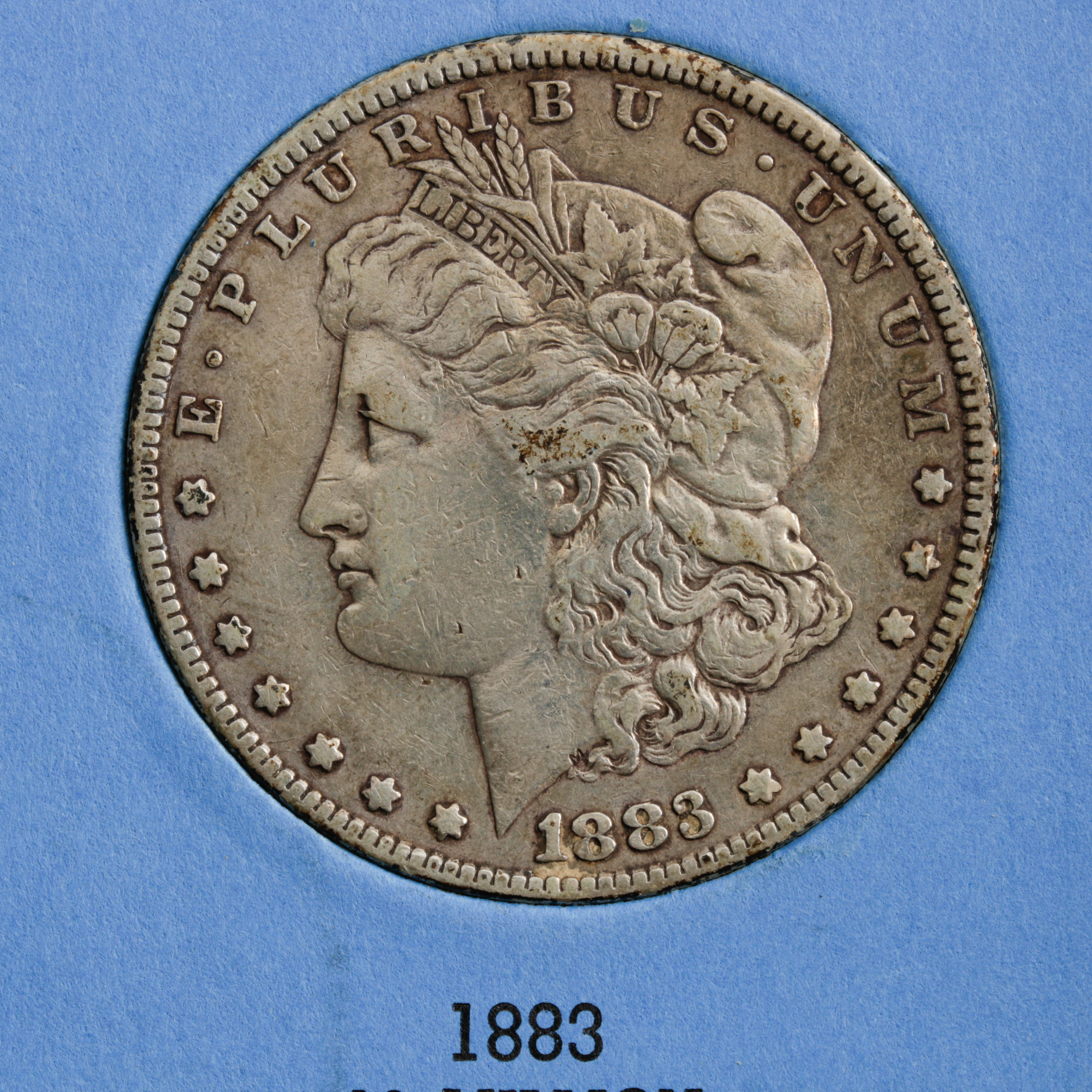 Group of 12 Silver Morgan Dollars in a Whitman Coin Folder Ranging in Age from 1878 to 1883