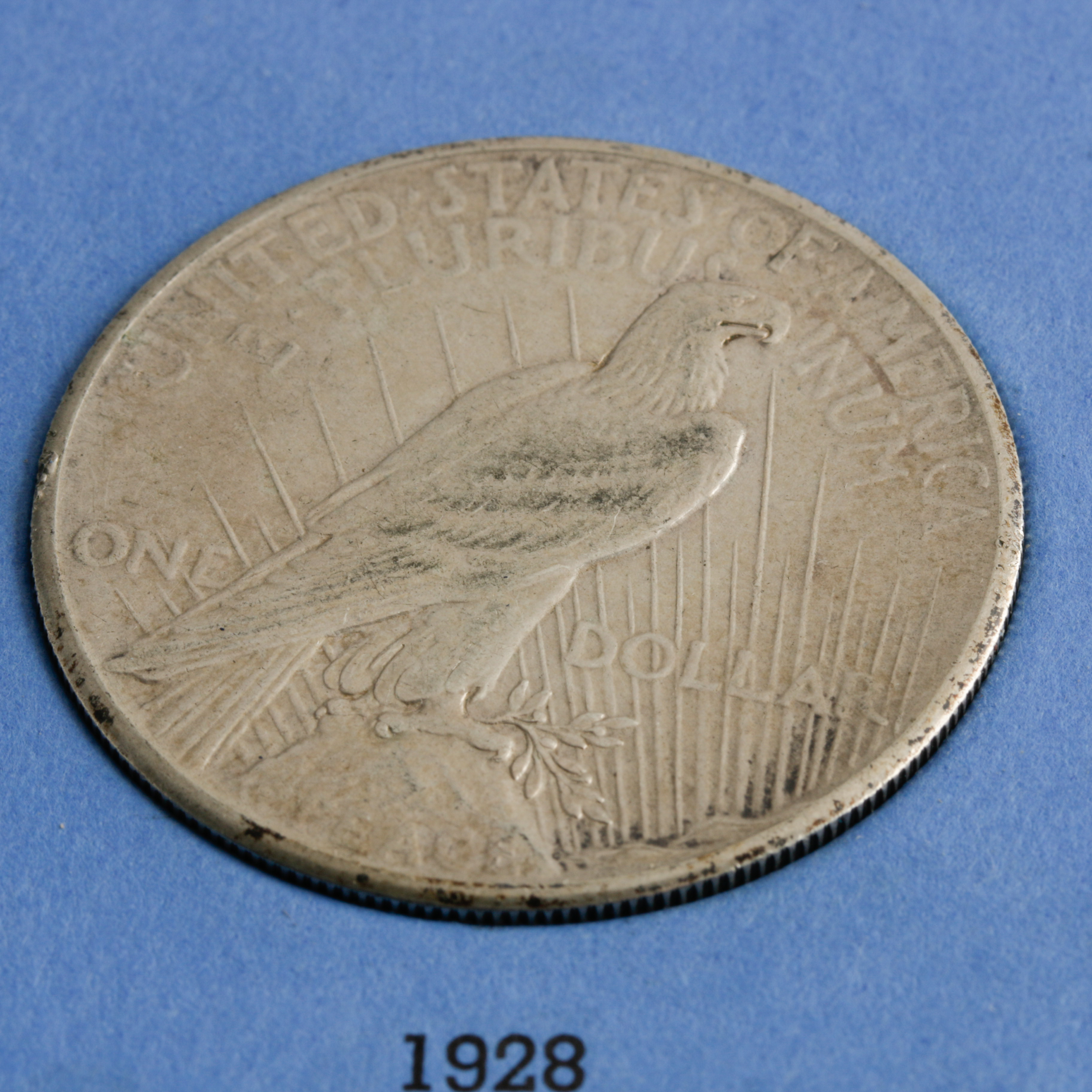 Group of 8 Silver Peace Dollars in a Whitman Coin Folder Ranging in Age from 1922 to 1928
