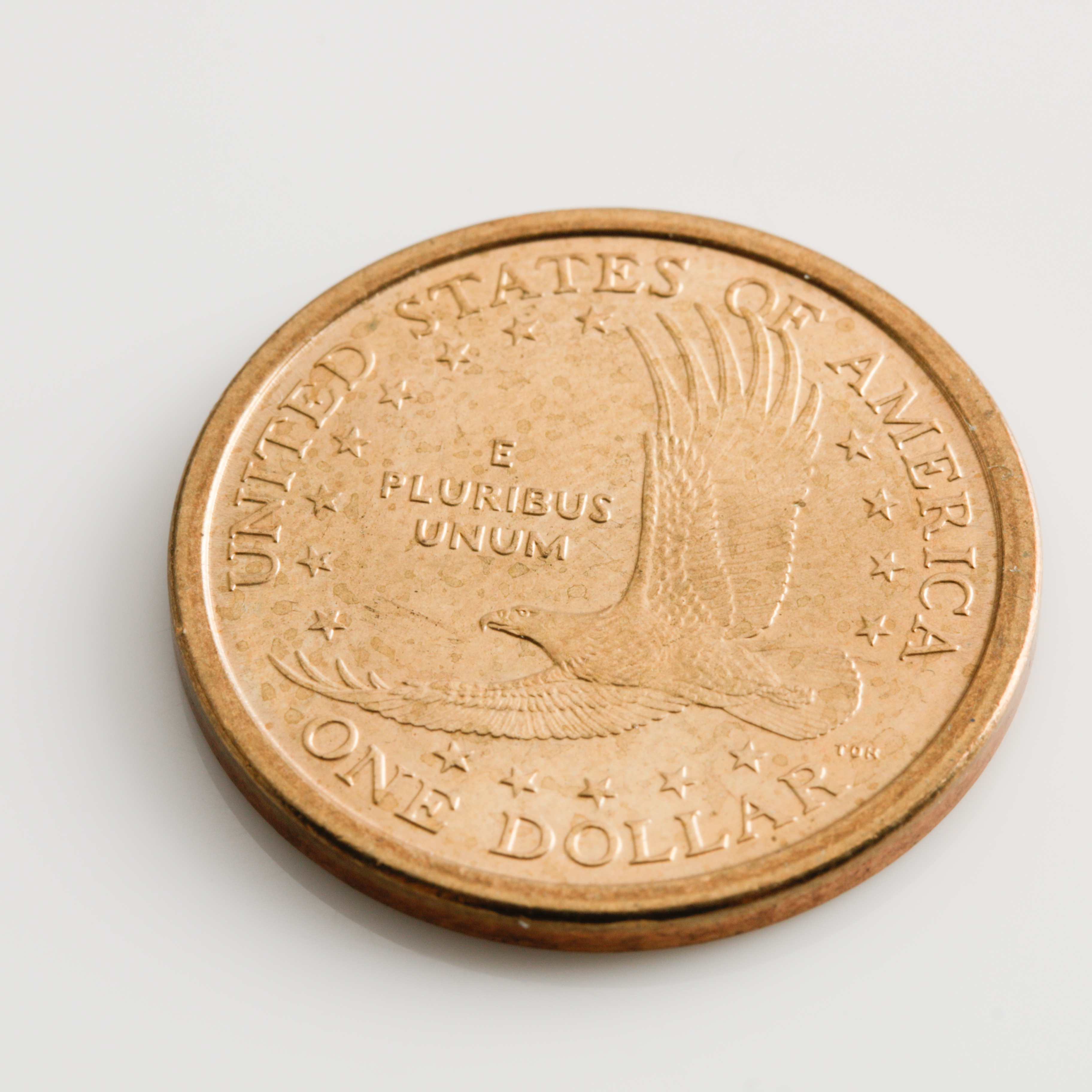 Eight Sacagawea Dollars and a Presidential Dollar