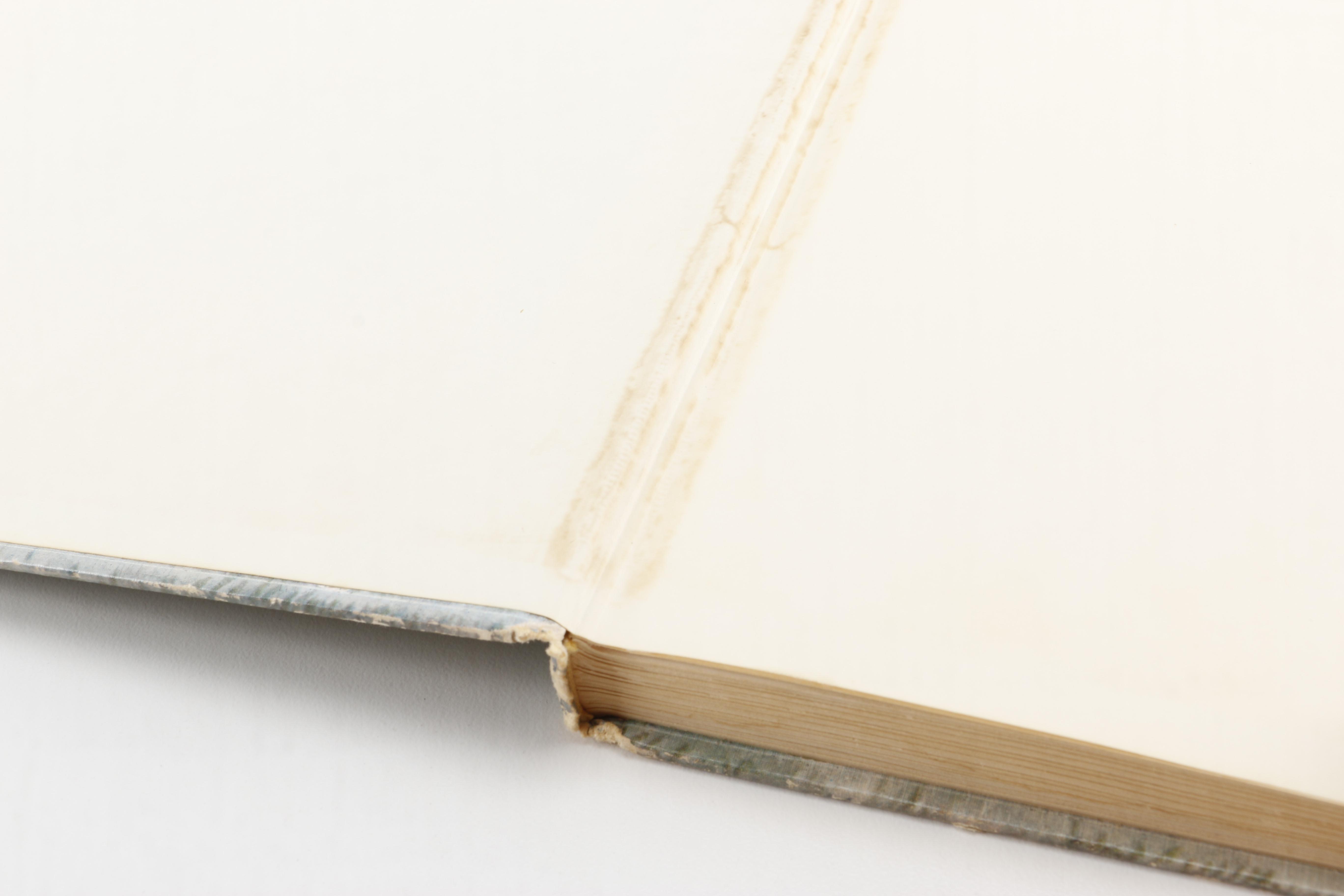 1954 "Book of Nursery and Mother Goose Rhymes" by Marguerite de Angeli