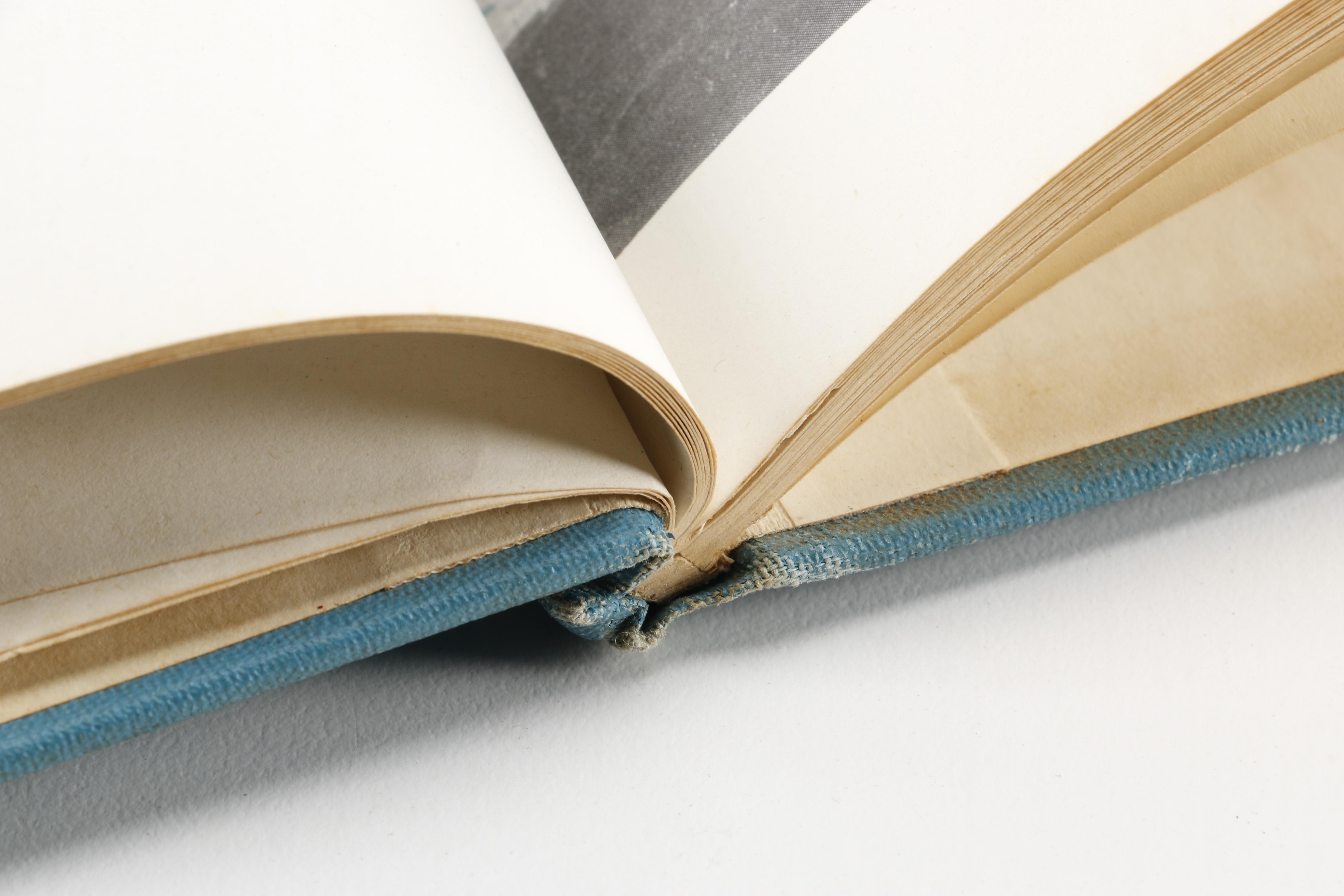 1922 "The Selfish Fox"