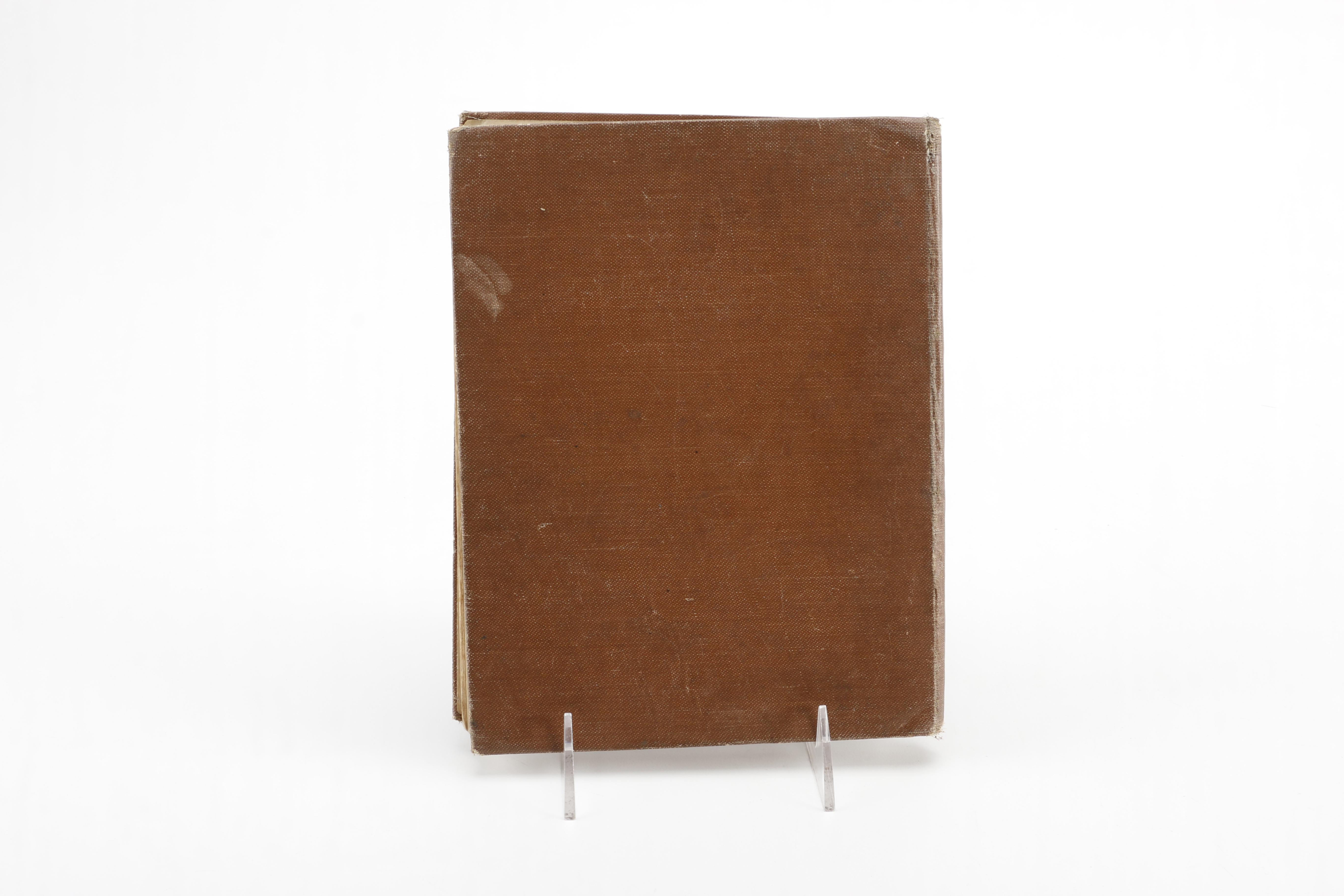 "Puss in Boots" and "Robin Hood"