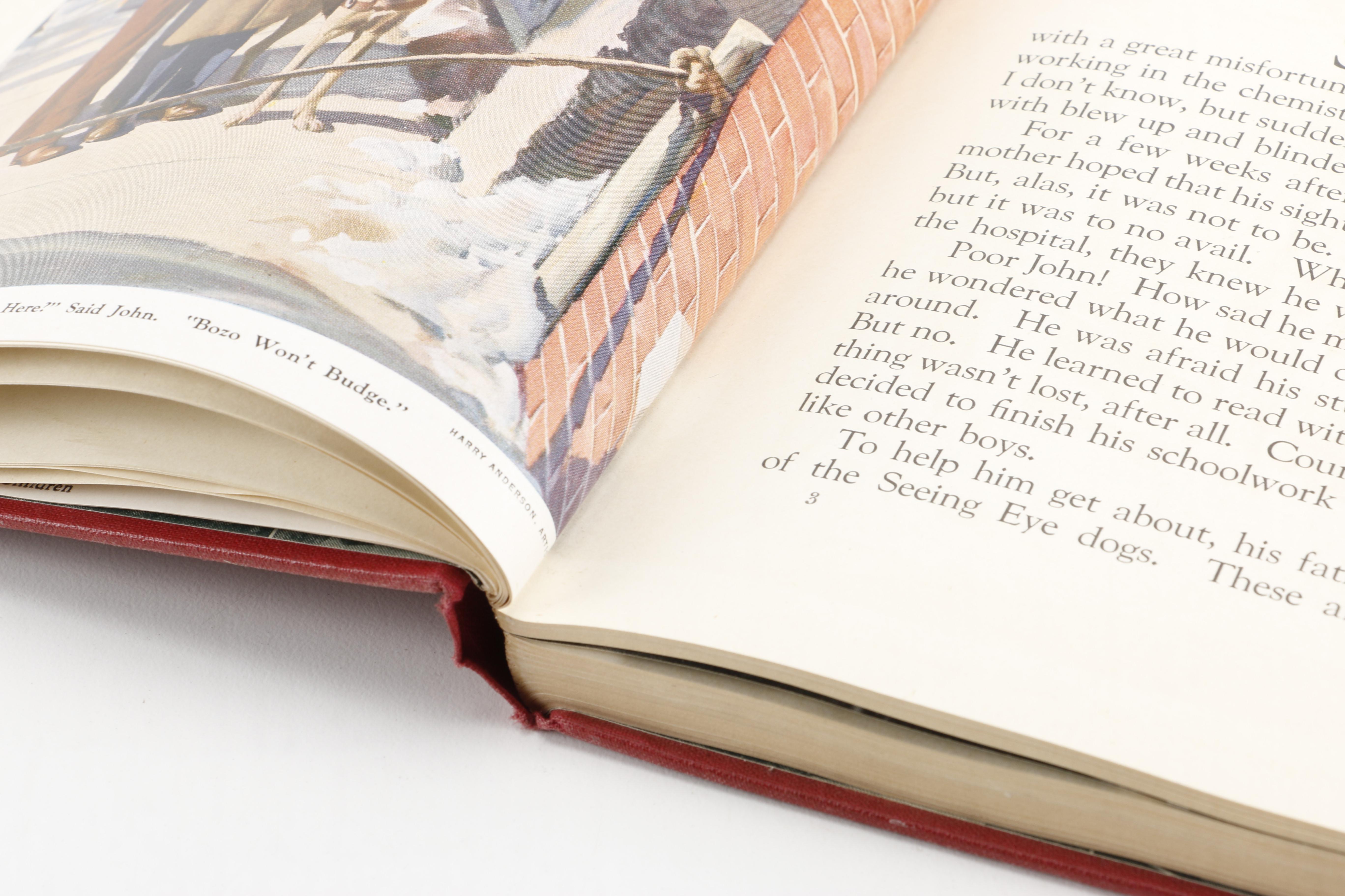 Children's Storybooks