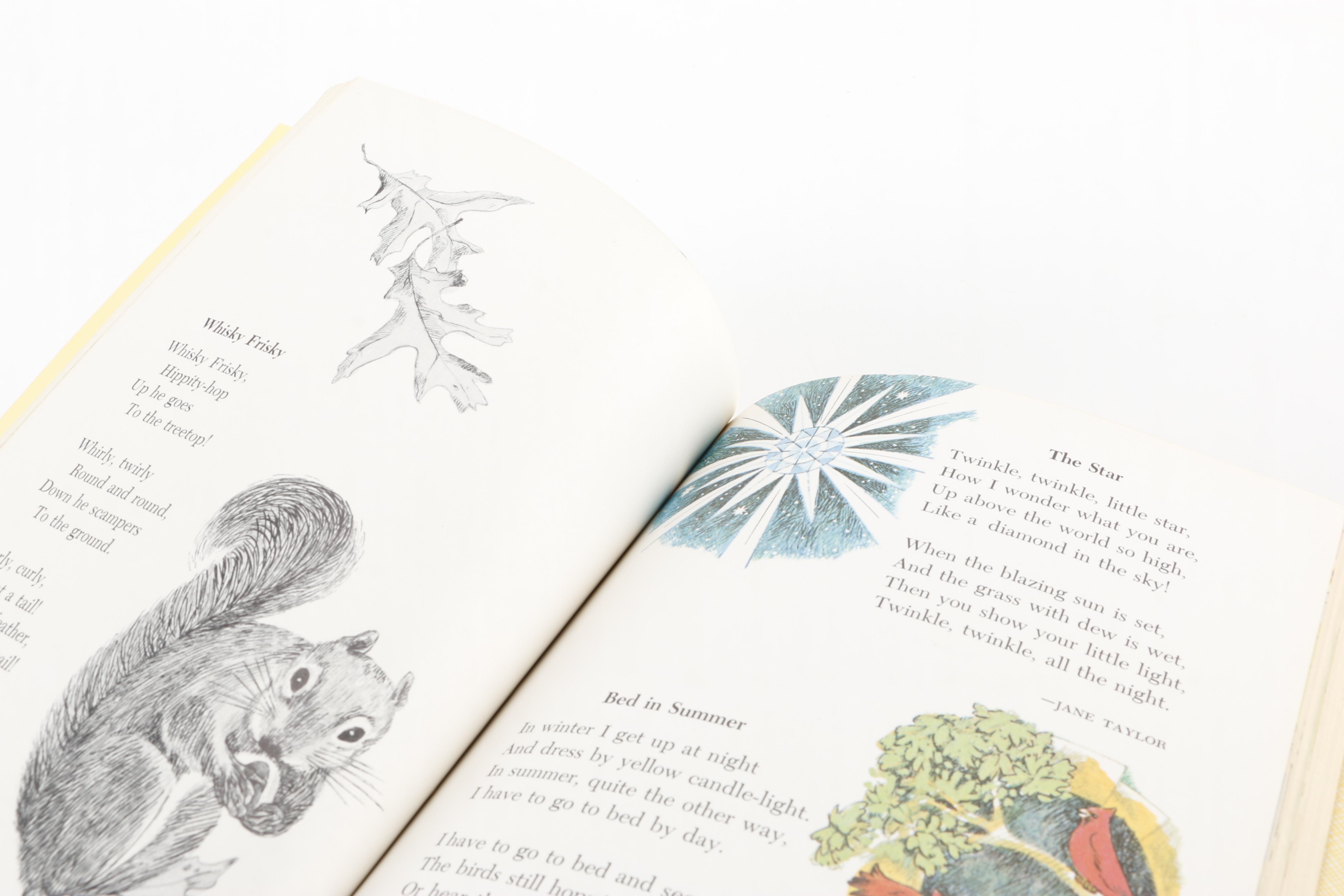 Children's Storybooks