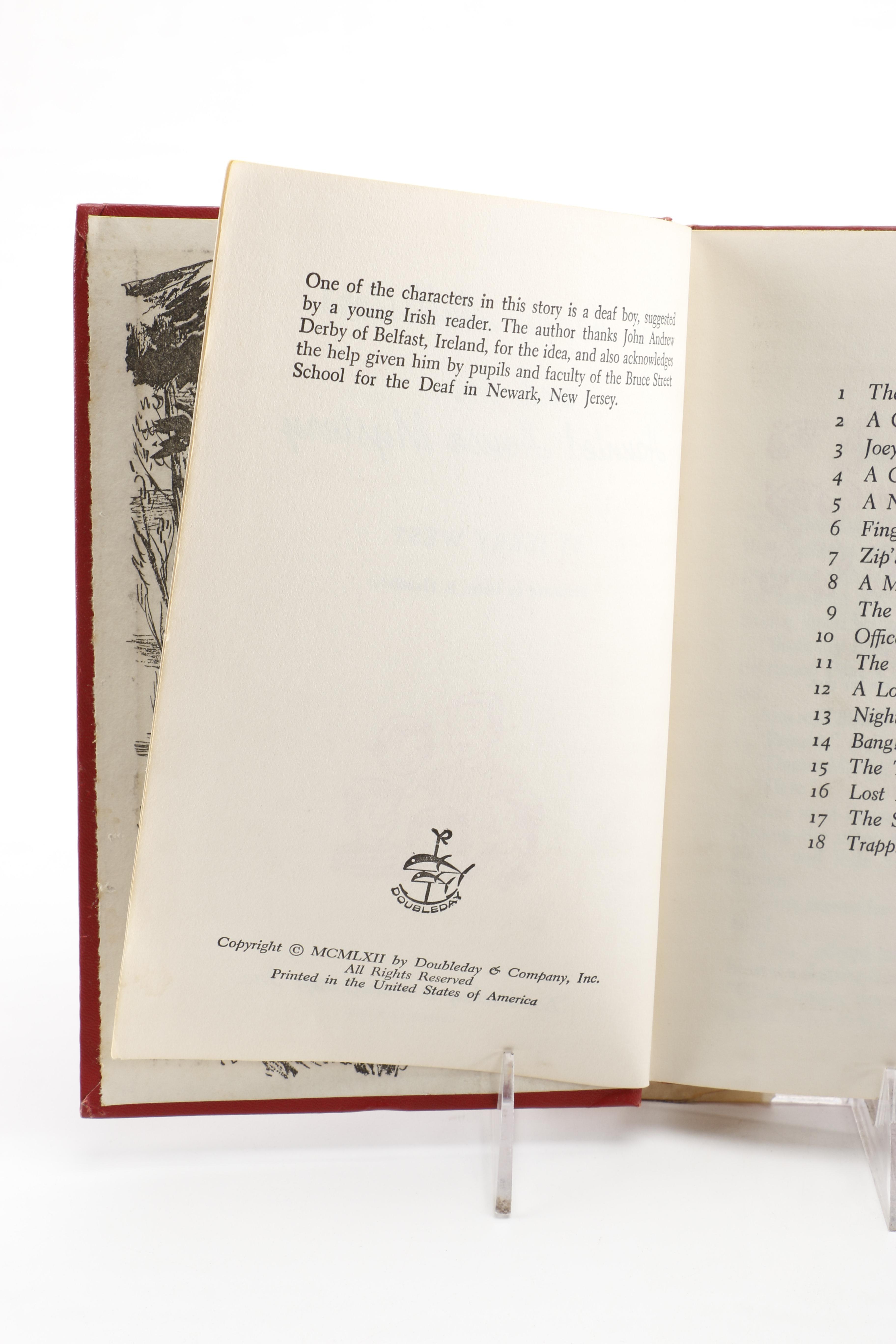 Assortment of Vintage Children's Mystery Books