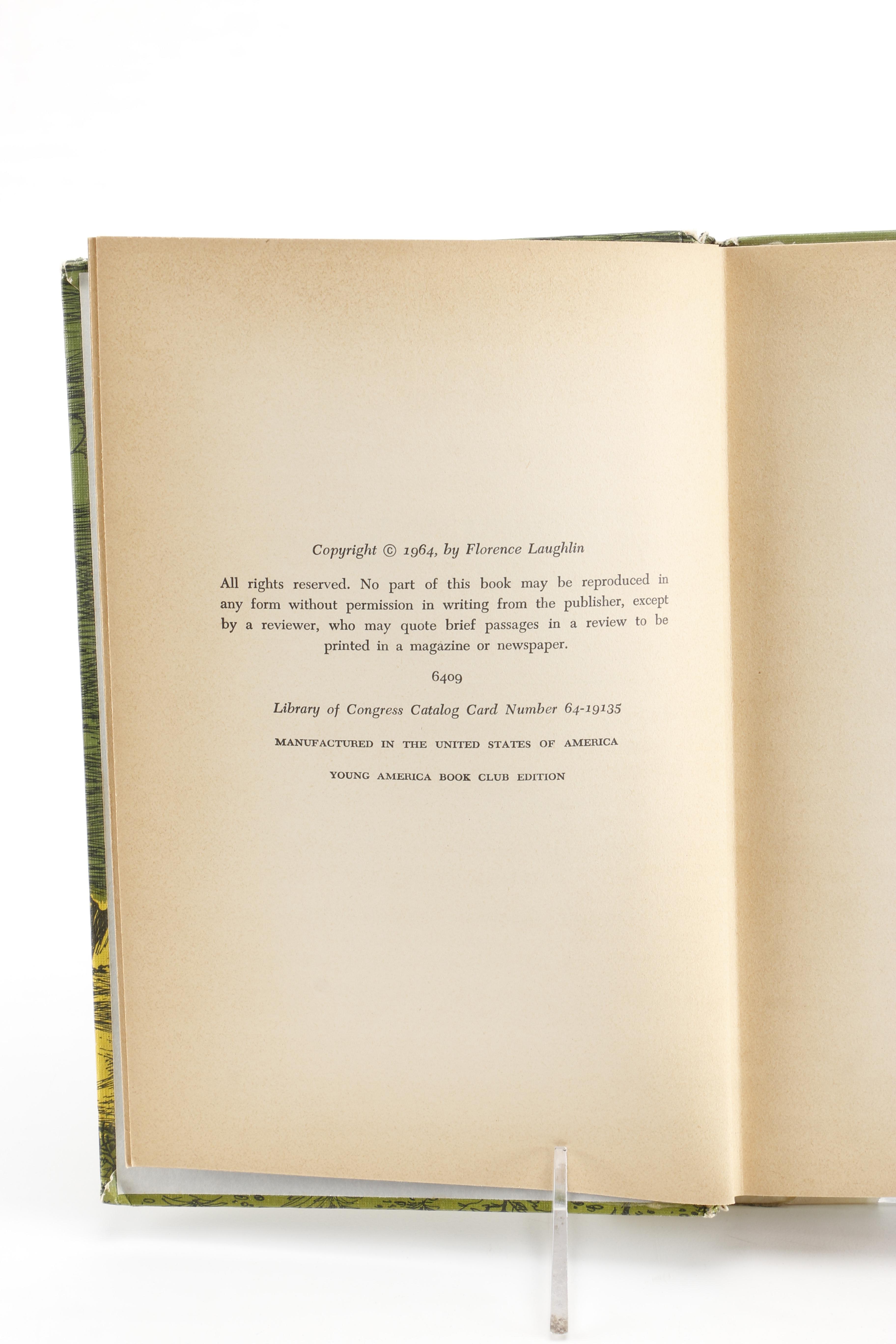 Assortment of Vintage Children's Mystery Books