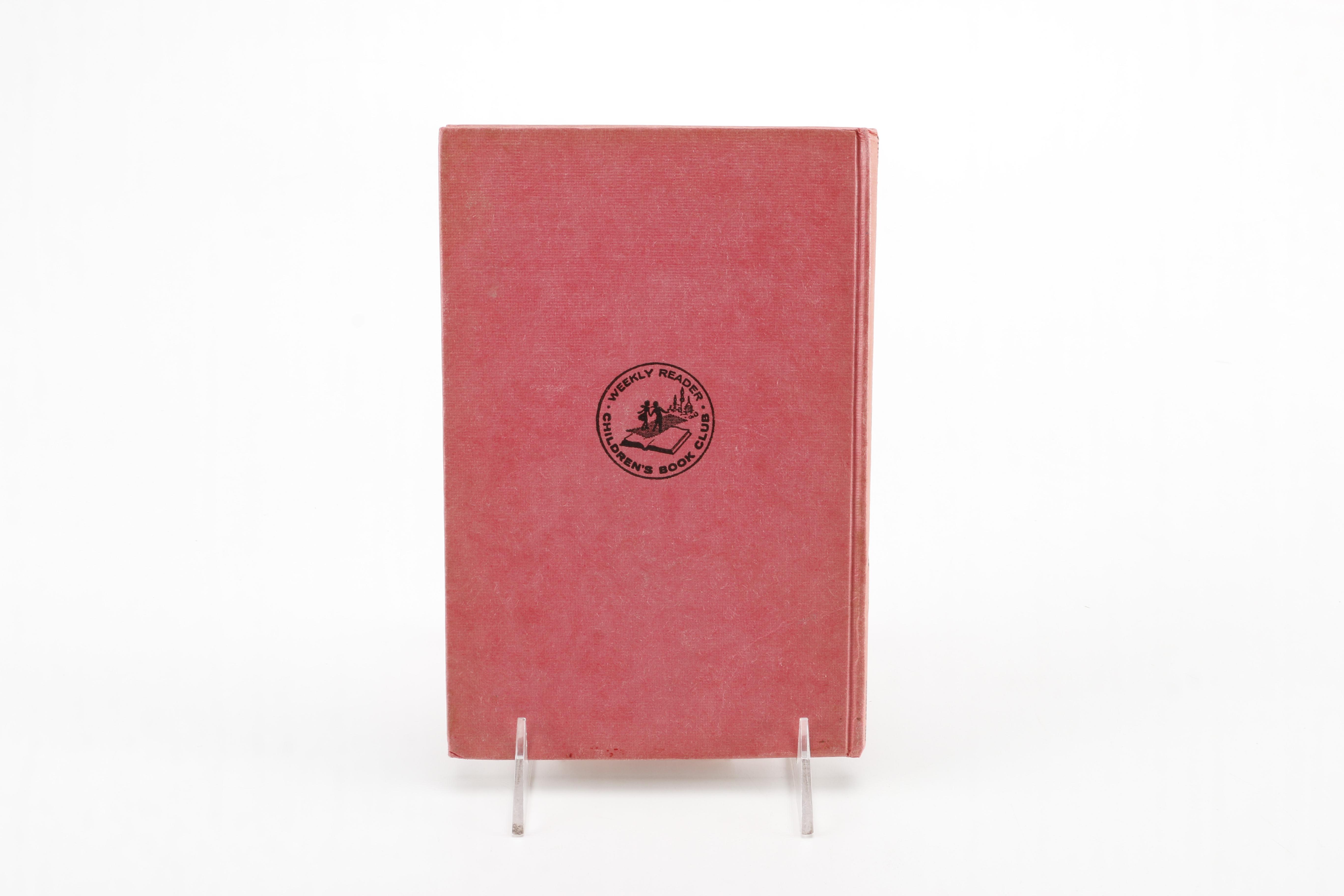 Assortment of Vintage Children's Mystery Books