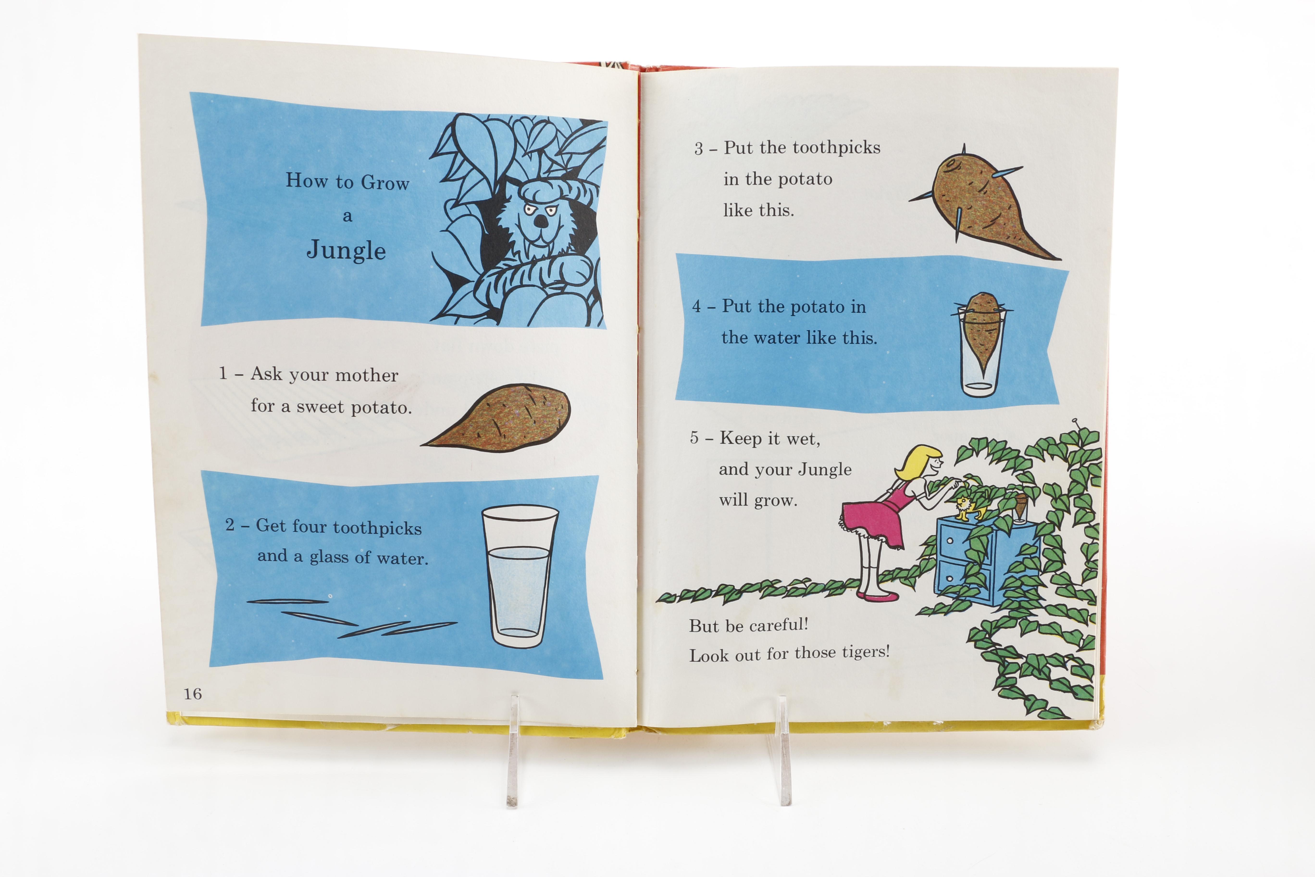 Collection of Children's Books