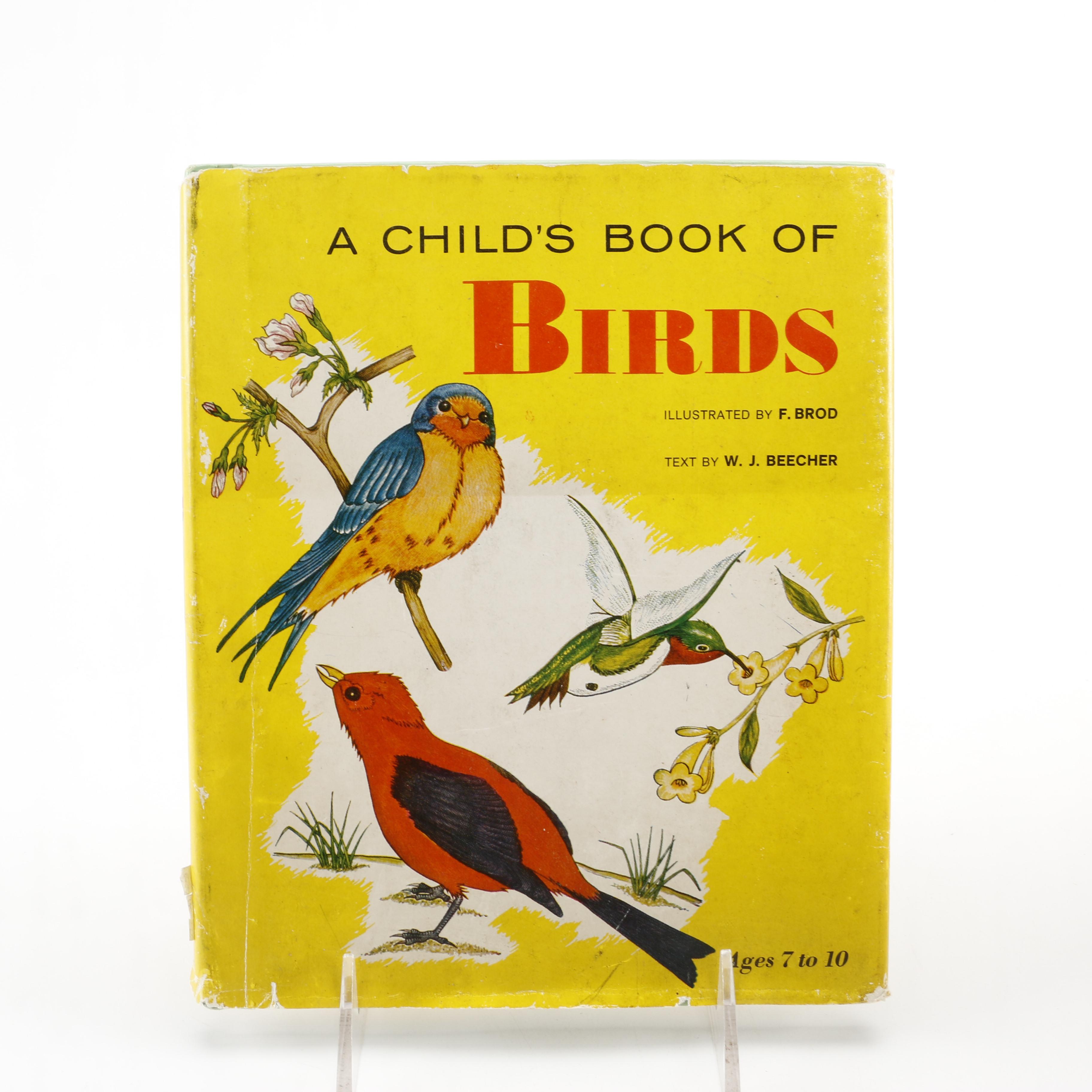 Children's Animal Books