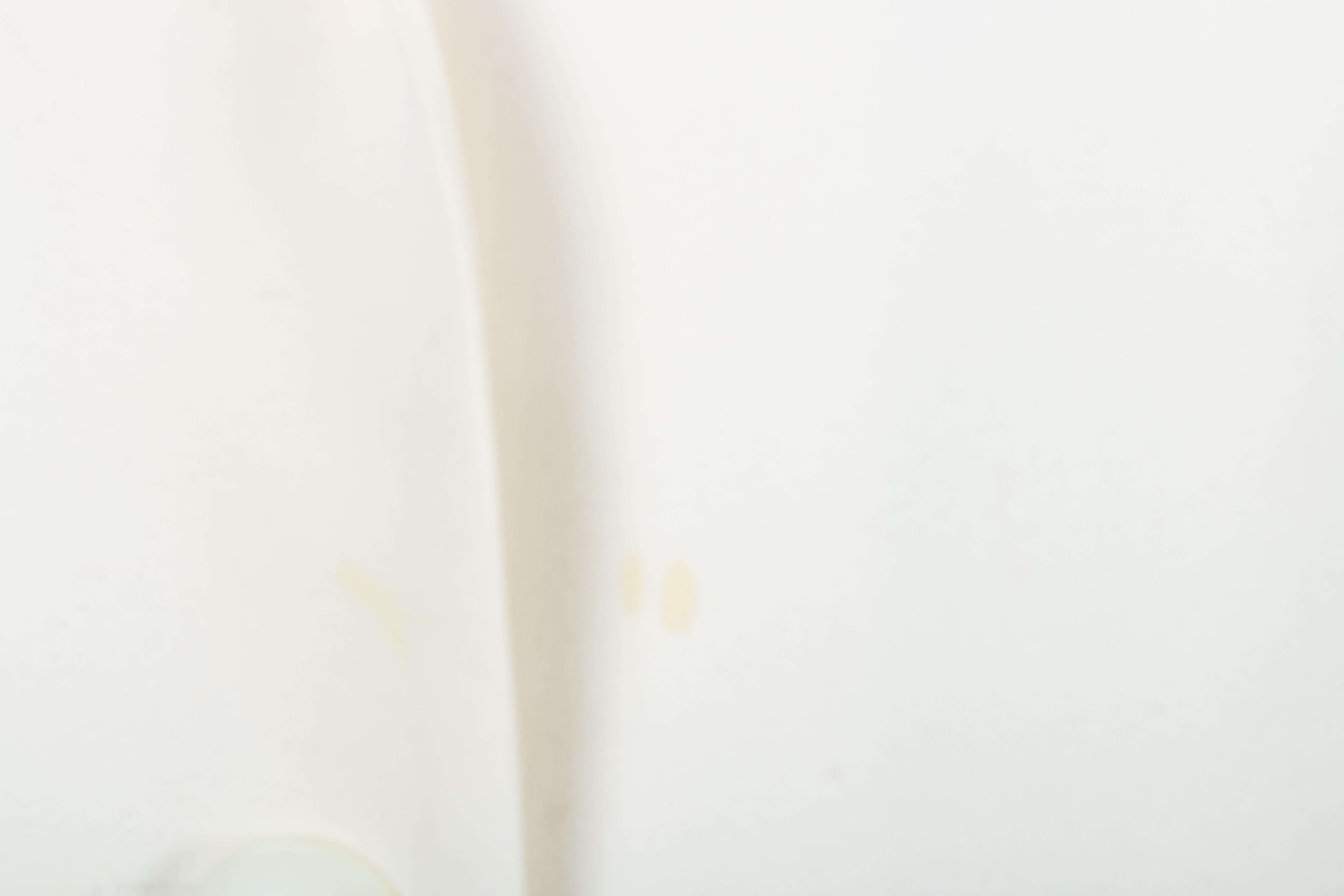 Women's Pendleton Jacket and Vintage Golden Bee Housecoat