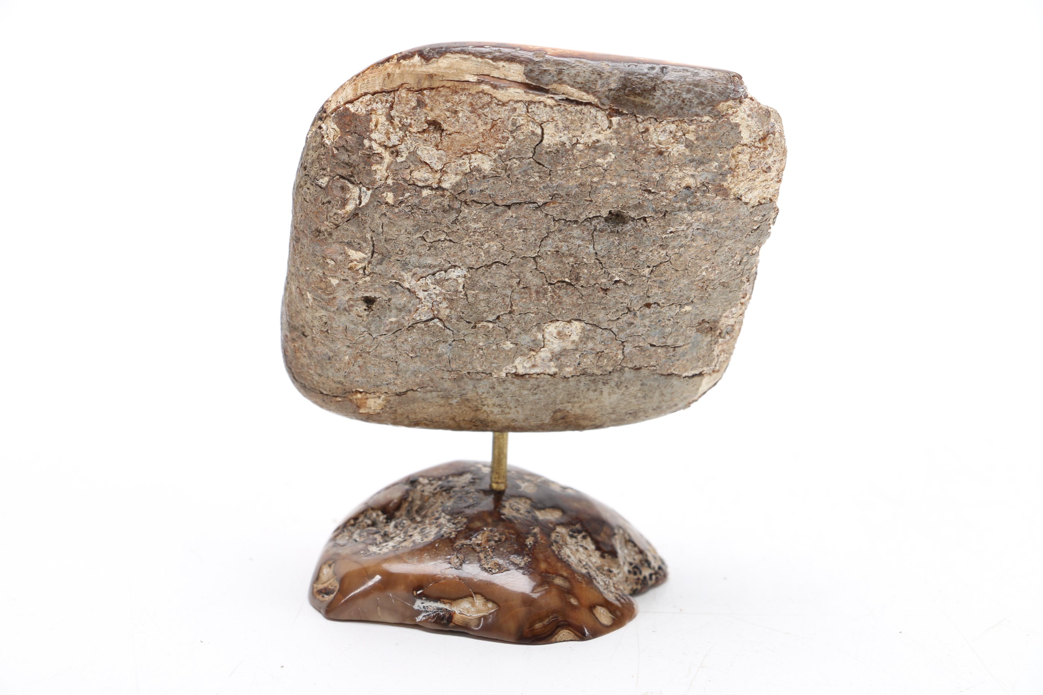 Scrimshaw and Wood Pipe