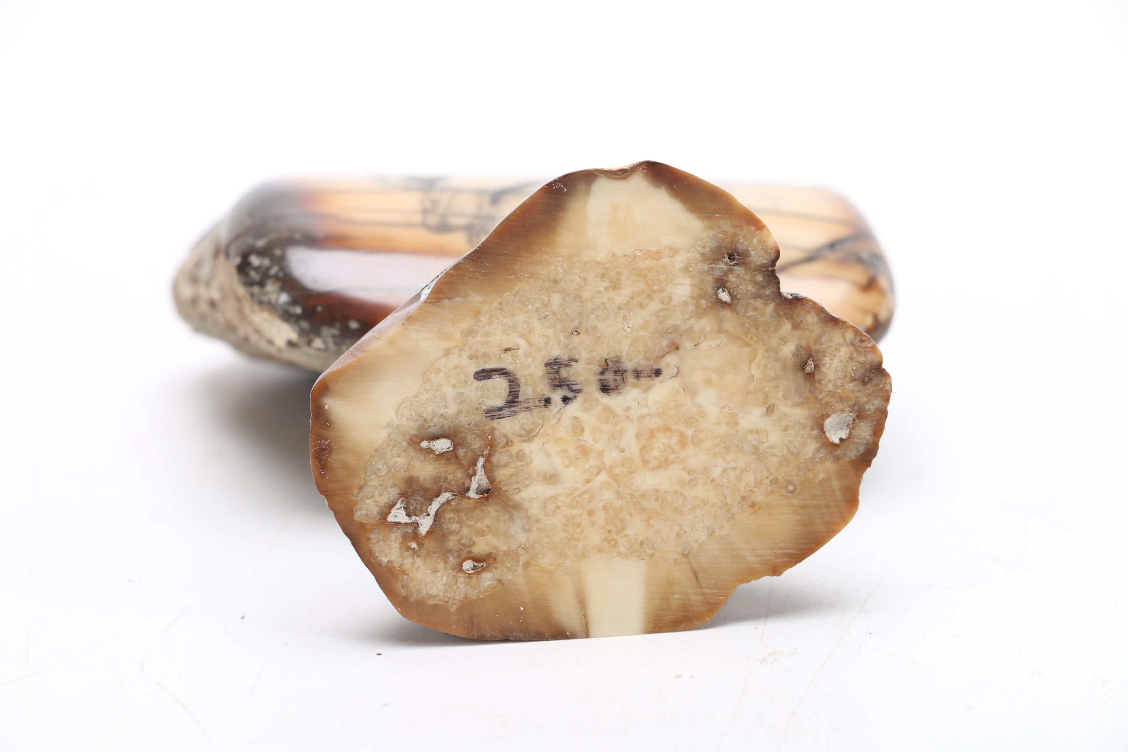 Scrimshaw and Wood Pipe