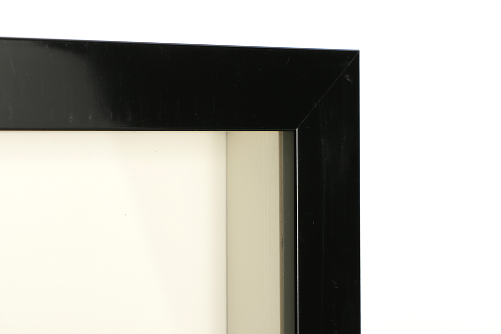 Warner Bros Studio Limited Edition Etching on Paper "Wile E. Coyote Etching"