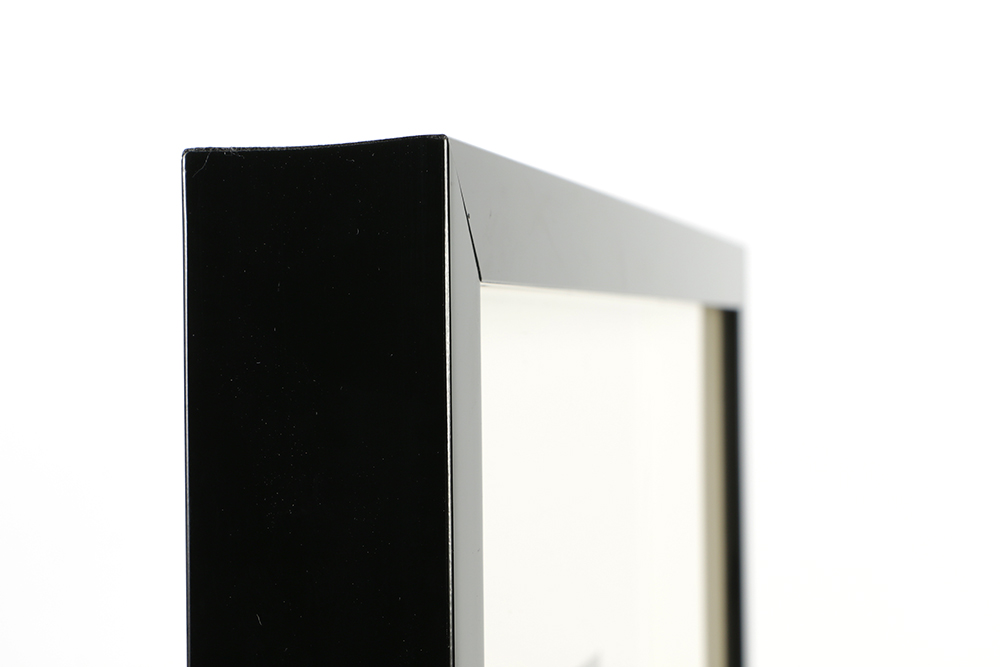 Warner Bros Studio Limited Edition Etching on Paper "Wile E. Coyote Etching"