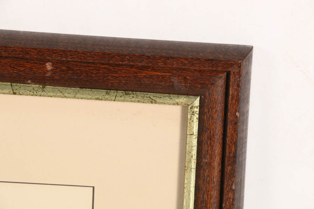 Vintage Audubon "White-headed Eagle" Lithograph Print