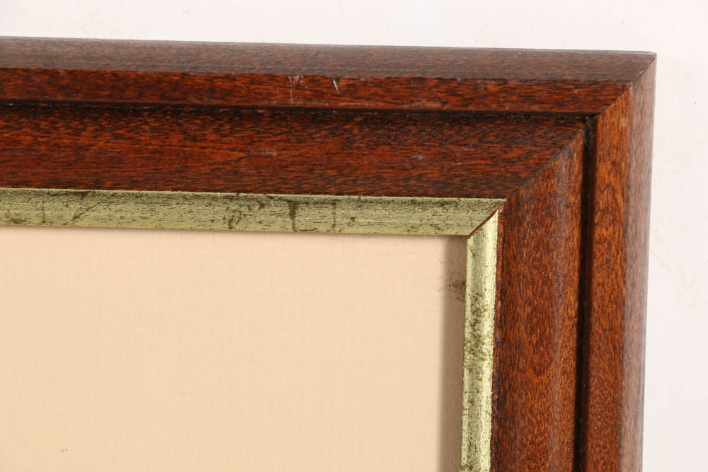 Vintage Audubon "Great Footed Hawk" Lithograph Print