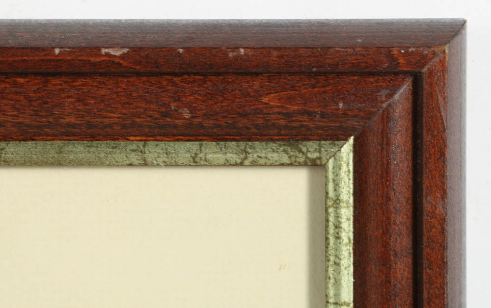 Vintage Audubon "American Snipe" Lithograph Print