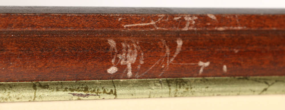 Vintage Audubon "American Snipe" Lithograph Print