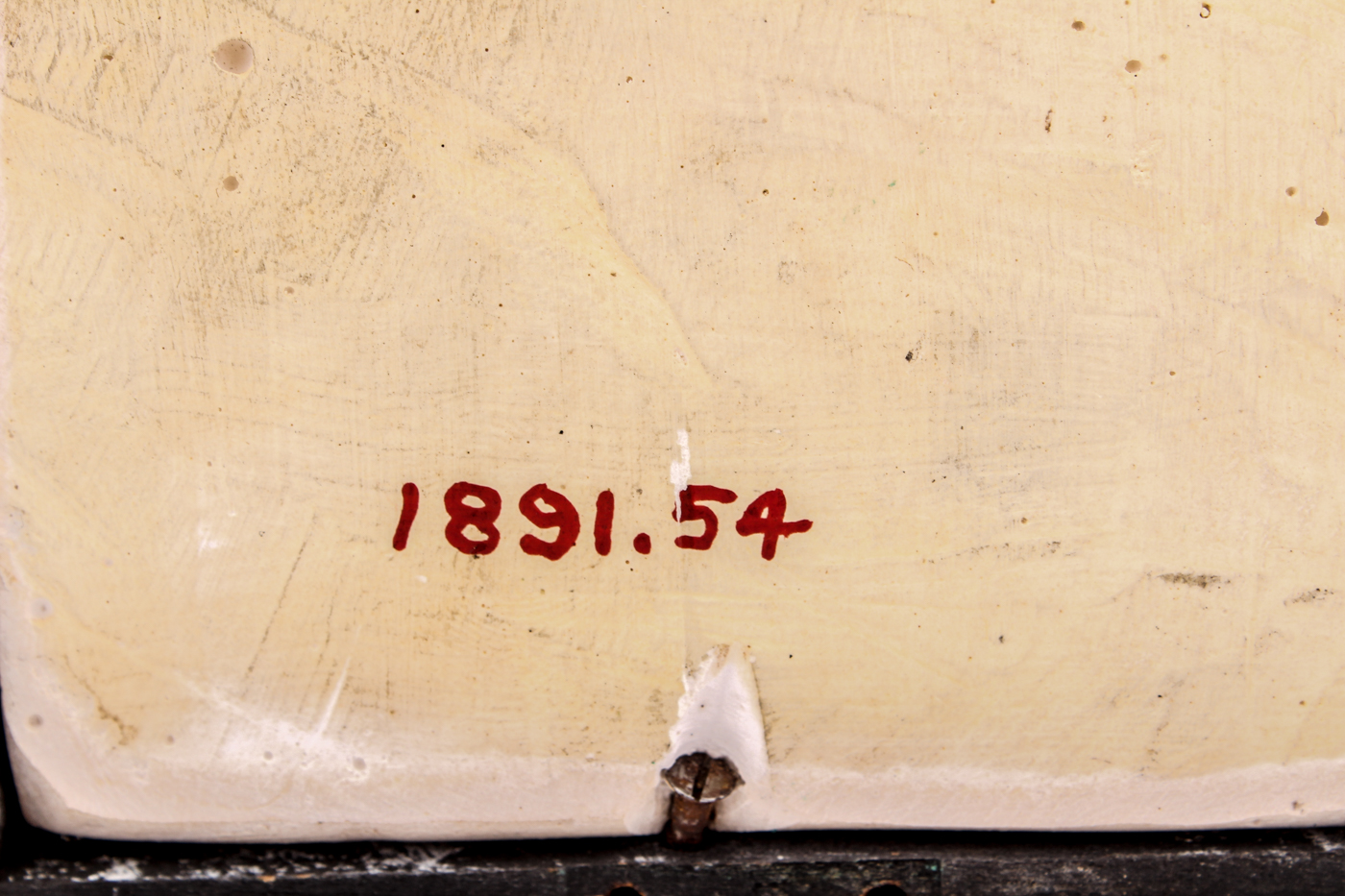 1891 Former Museum Reproduction Christian Medieval Plaster Panels