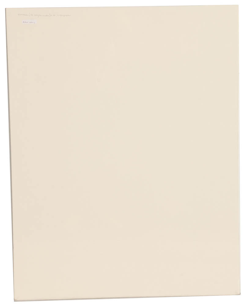 Arthur Helwig Original Lithograph on Paper