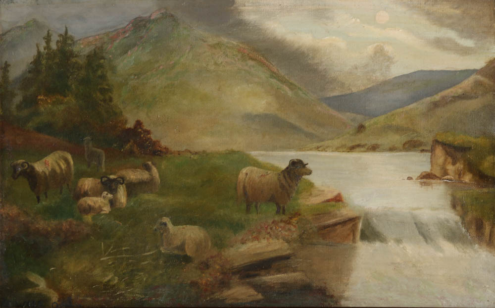 Original Oil on Canvas by M Ward