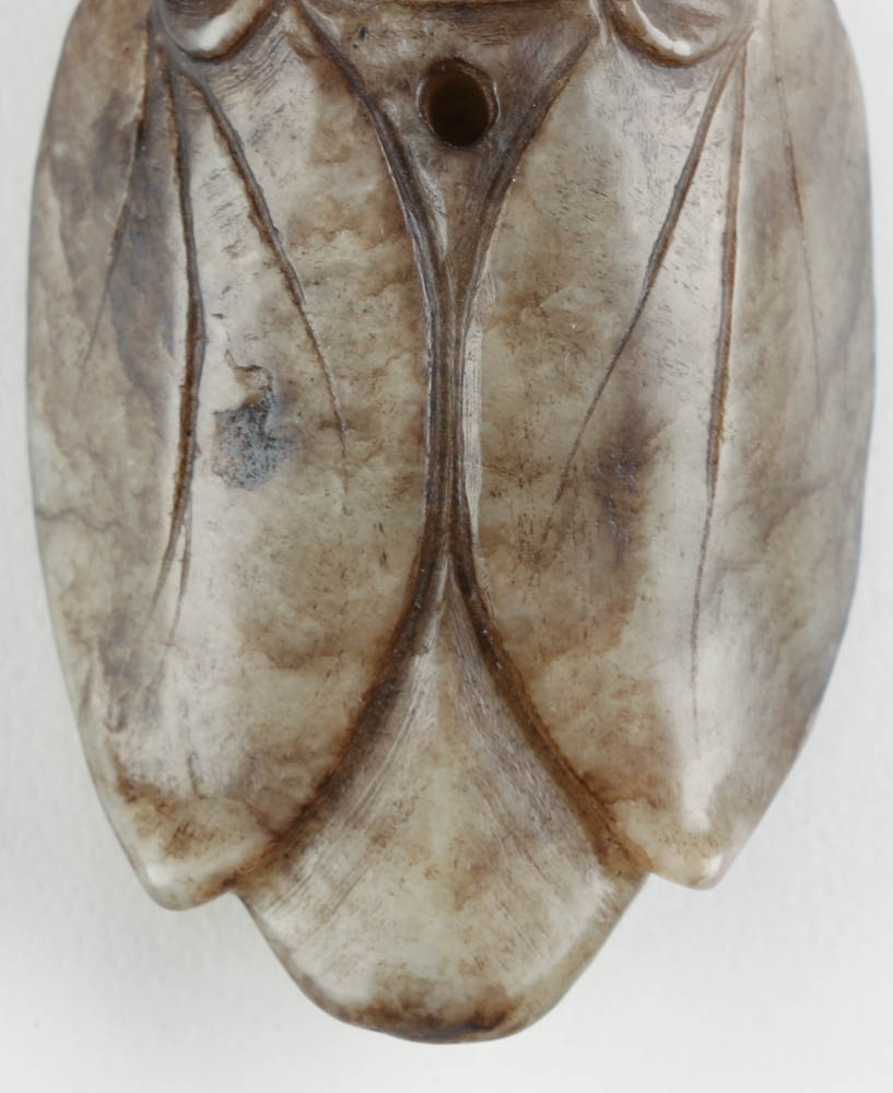 Chinese Carved Nephrite Jade Cicada