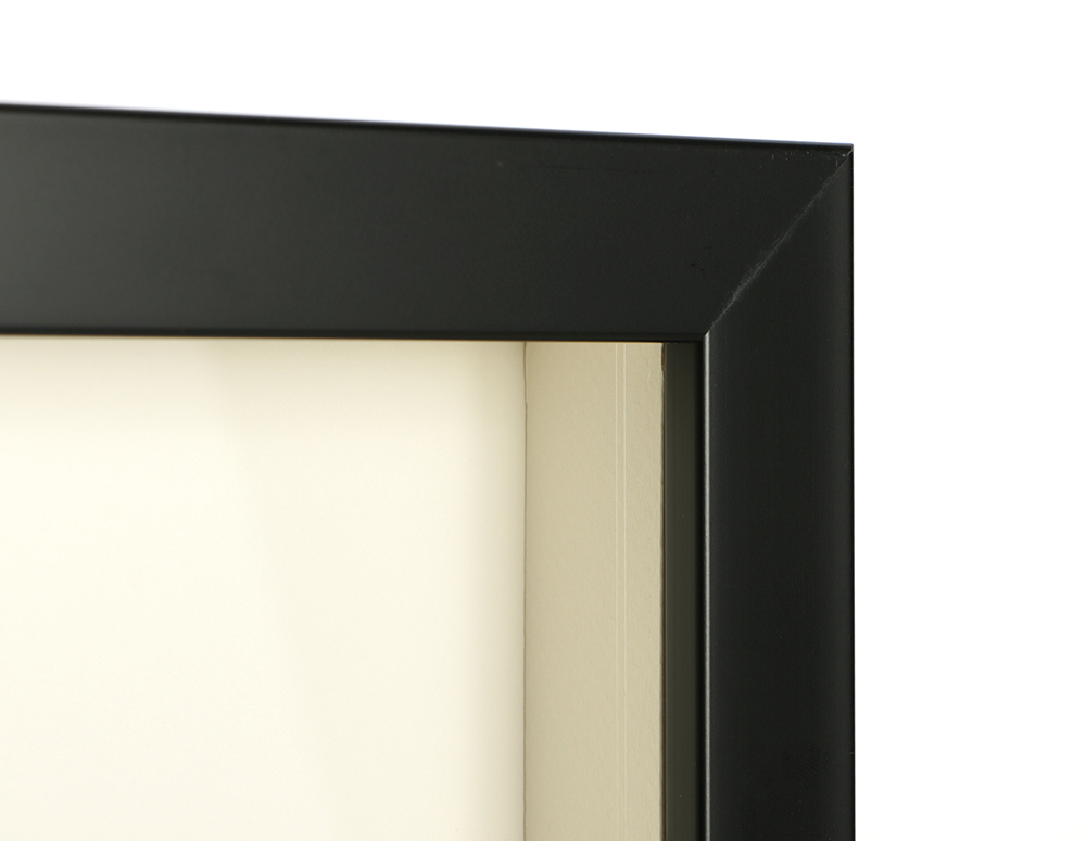 Warner Bros Studio Limited Edition Etching on Paper "Wile E. Coyote Etchings III"