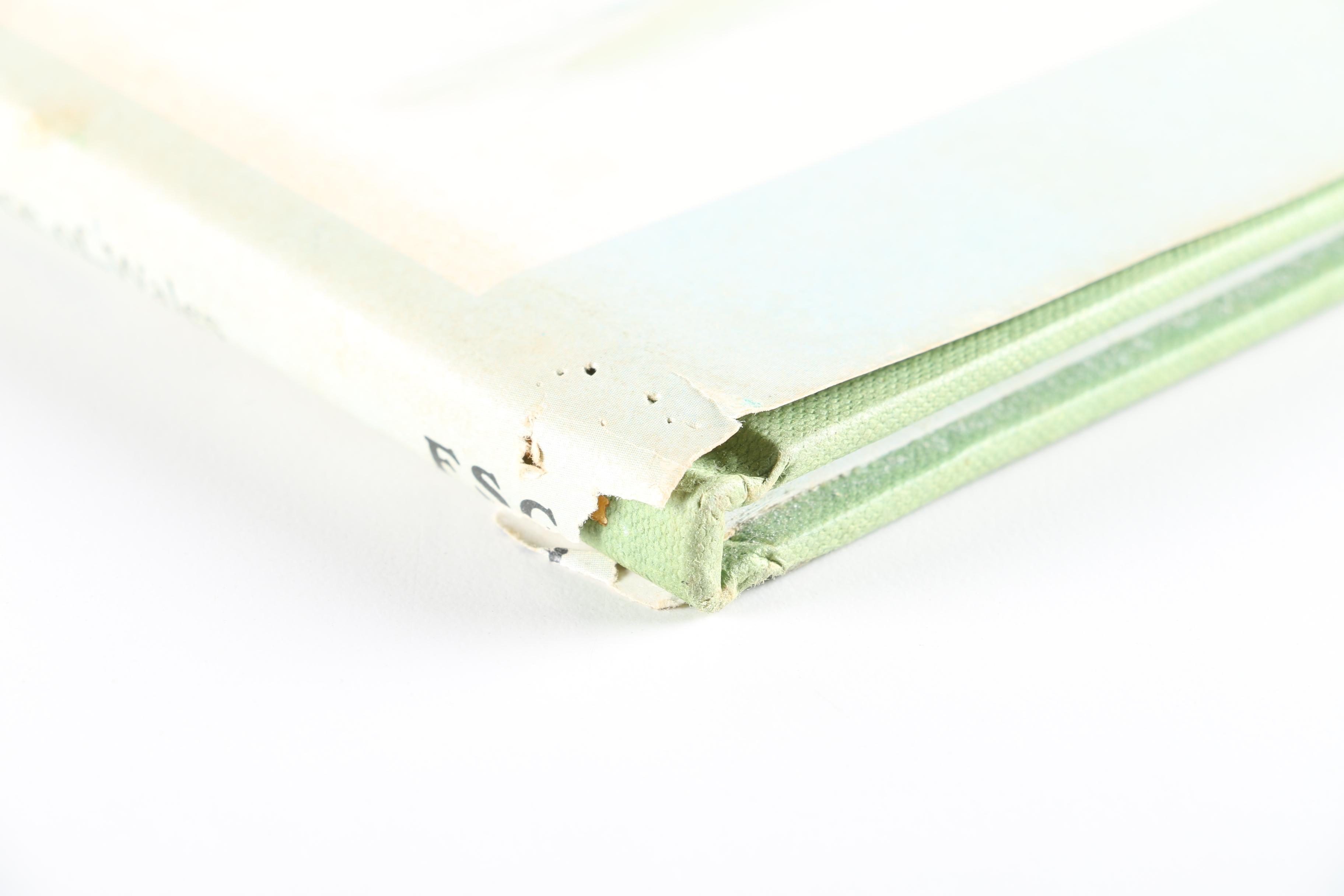 1980 First American Edition "Old Man Of Lochnagar" by Prince Charles