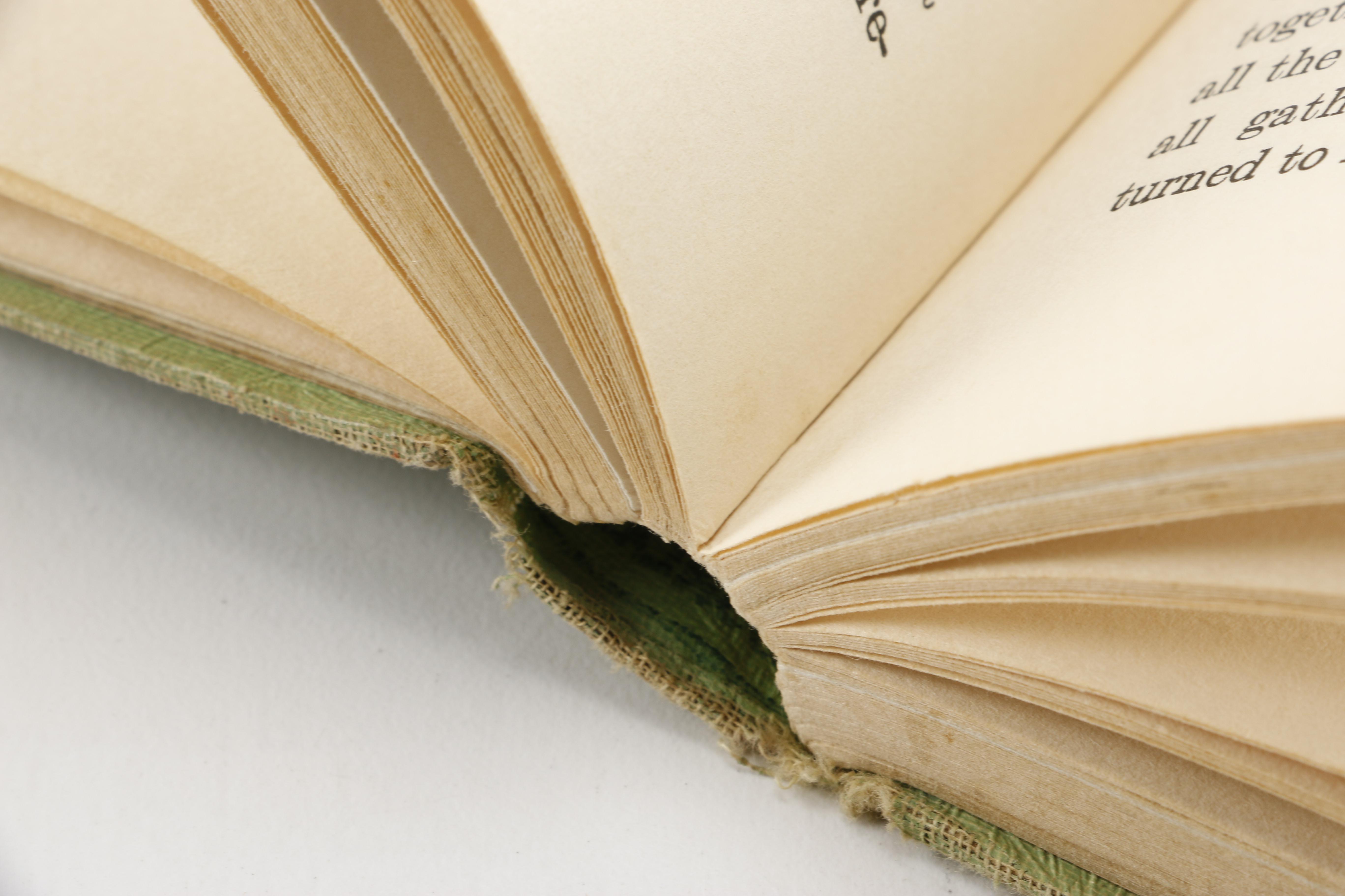 1911 "Mother West Wind's Children" by Thornton W. Burgess