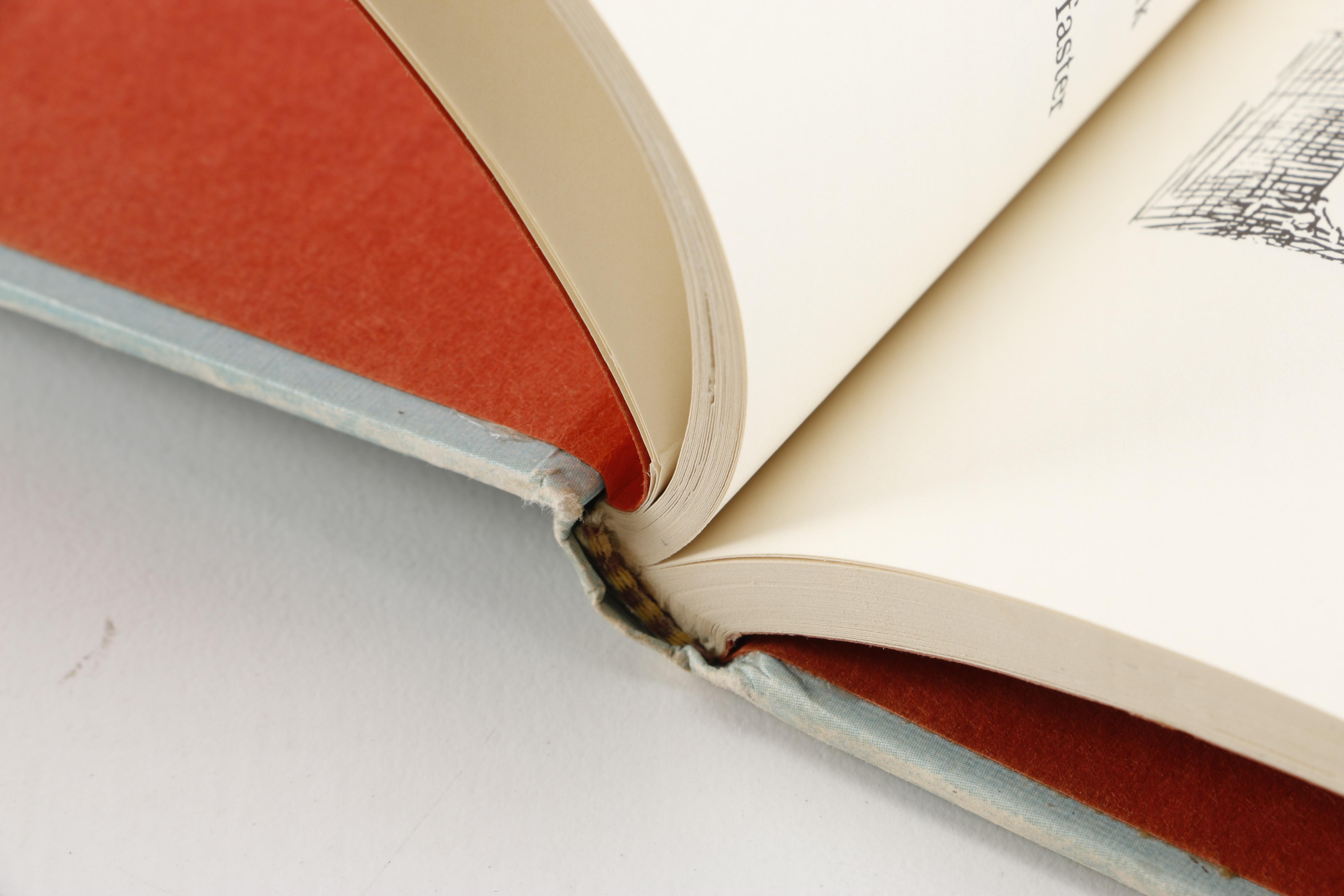 Collection of Children's Books