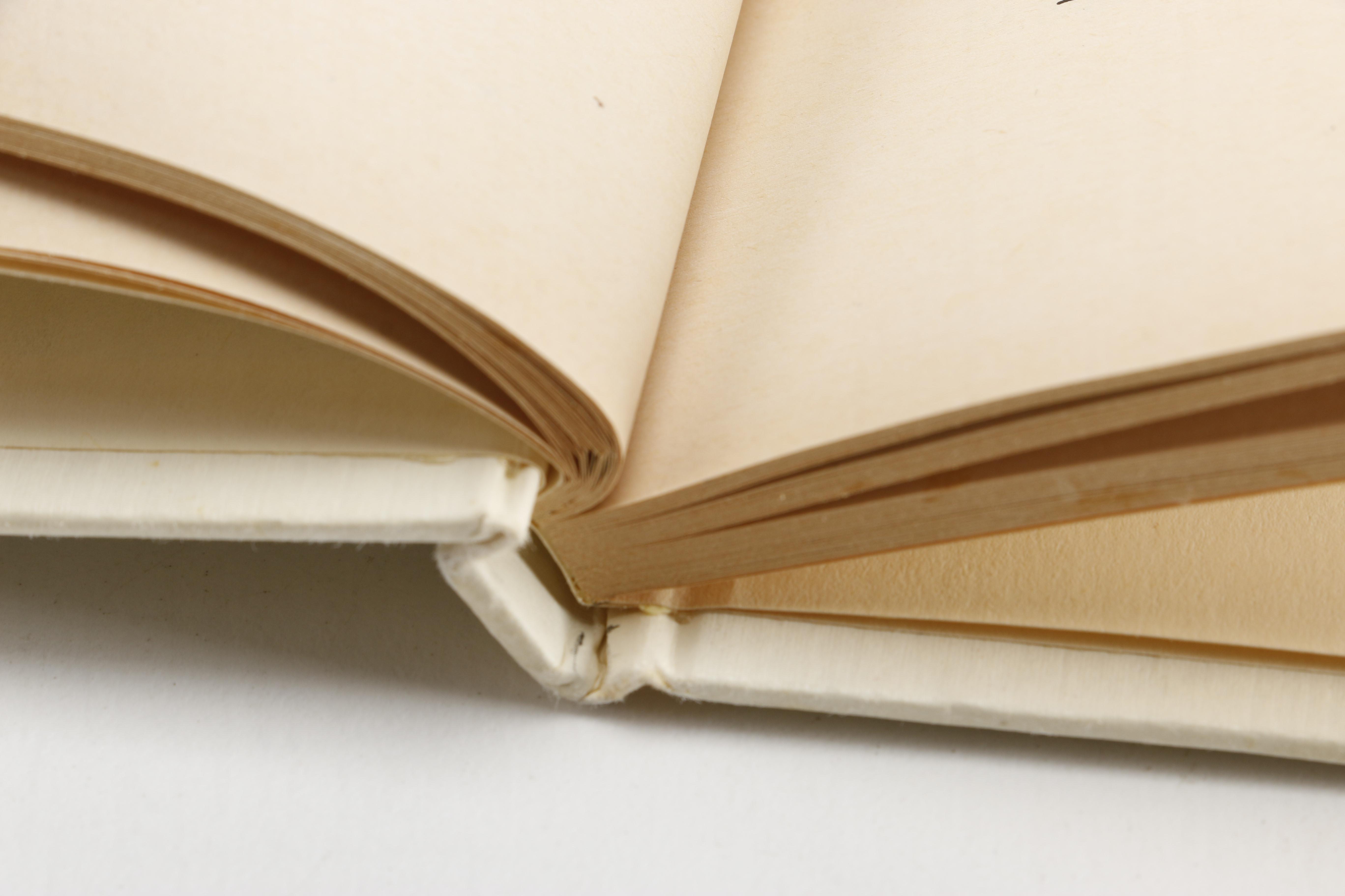 Collection of Children's Books