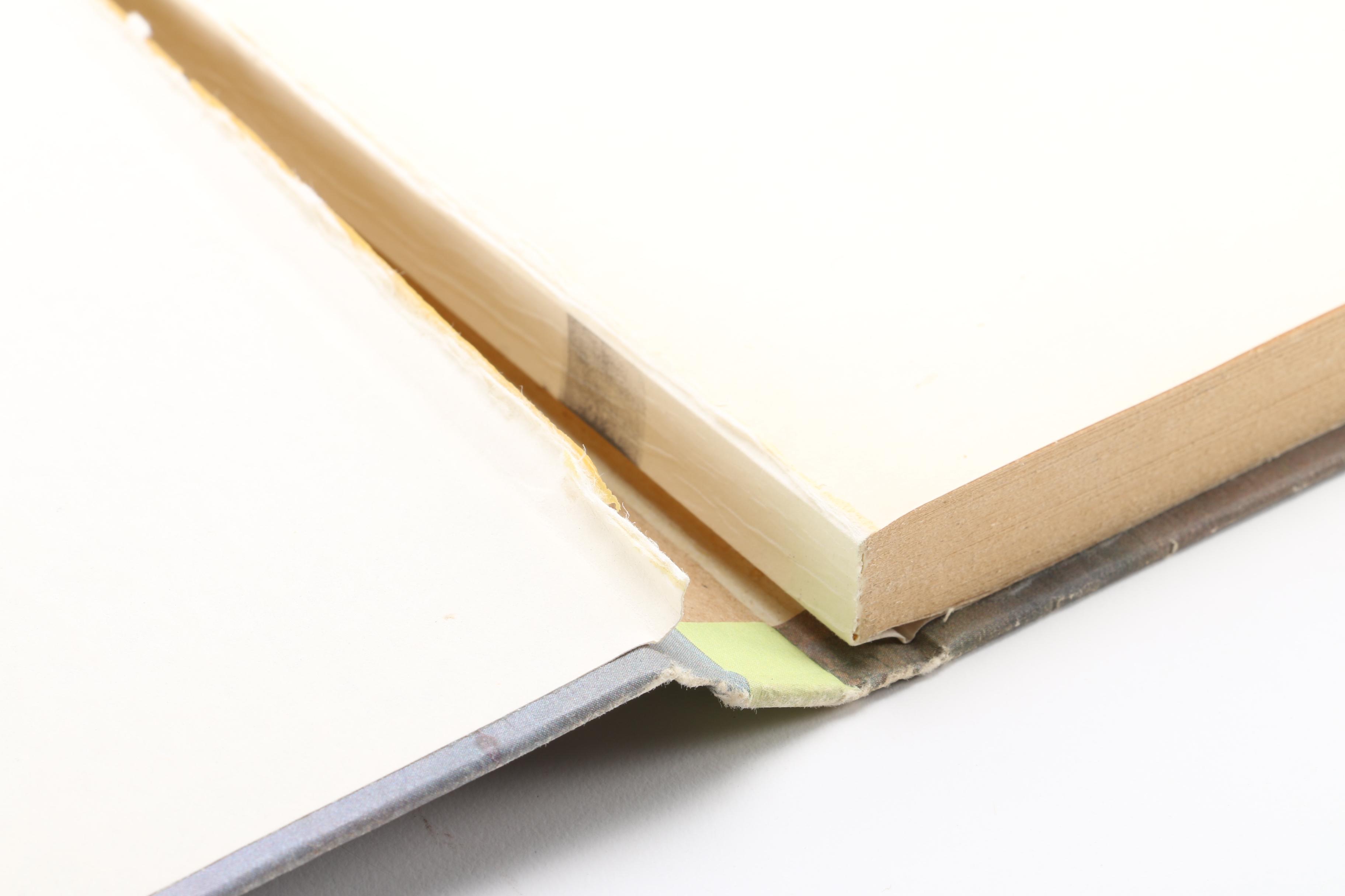 Vintage Young Adult Books