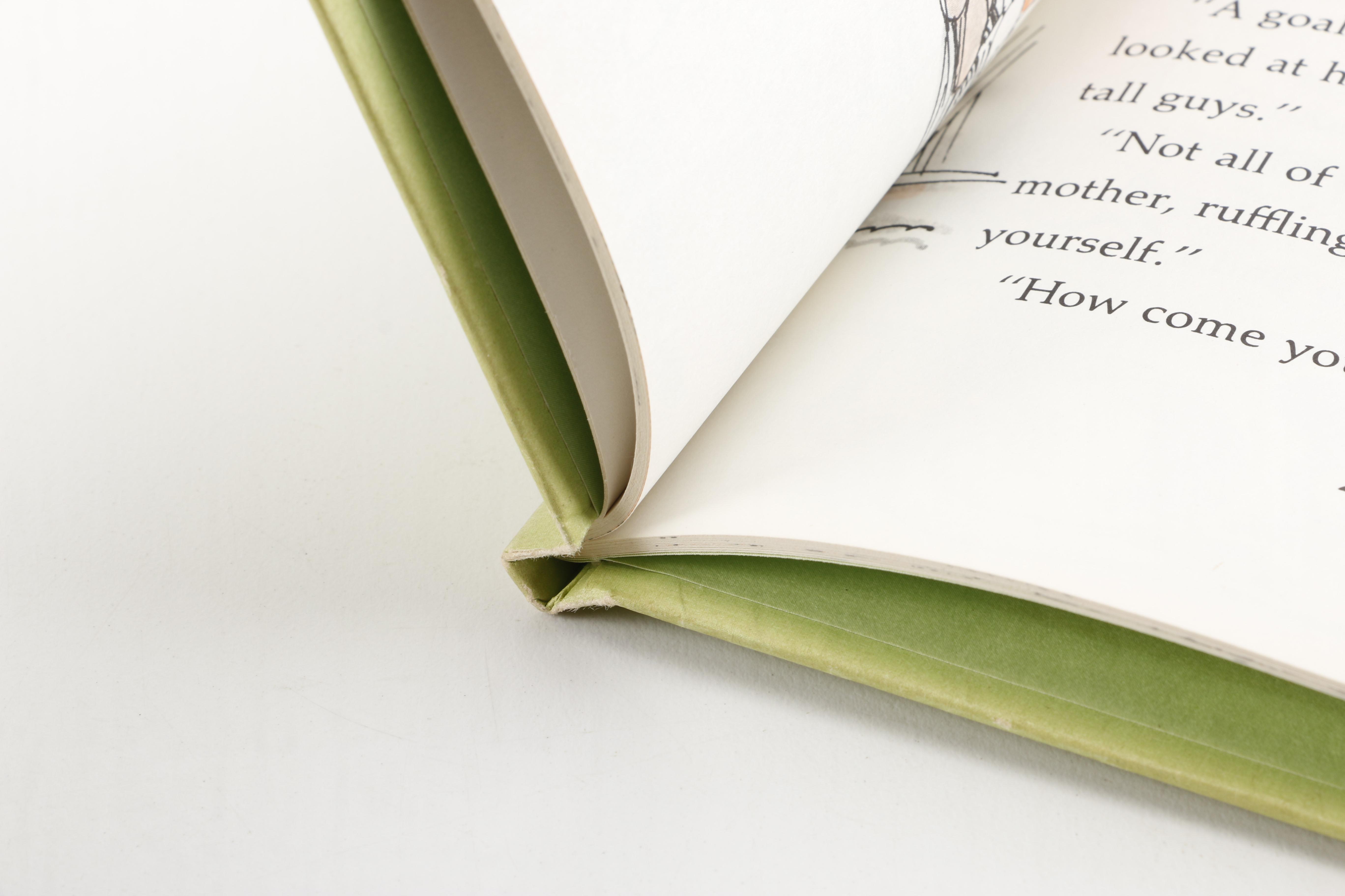 Assorted Children's Books