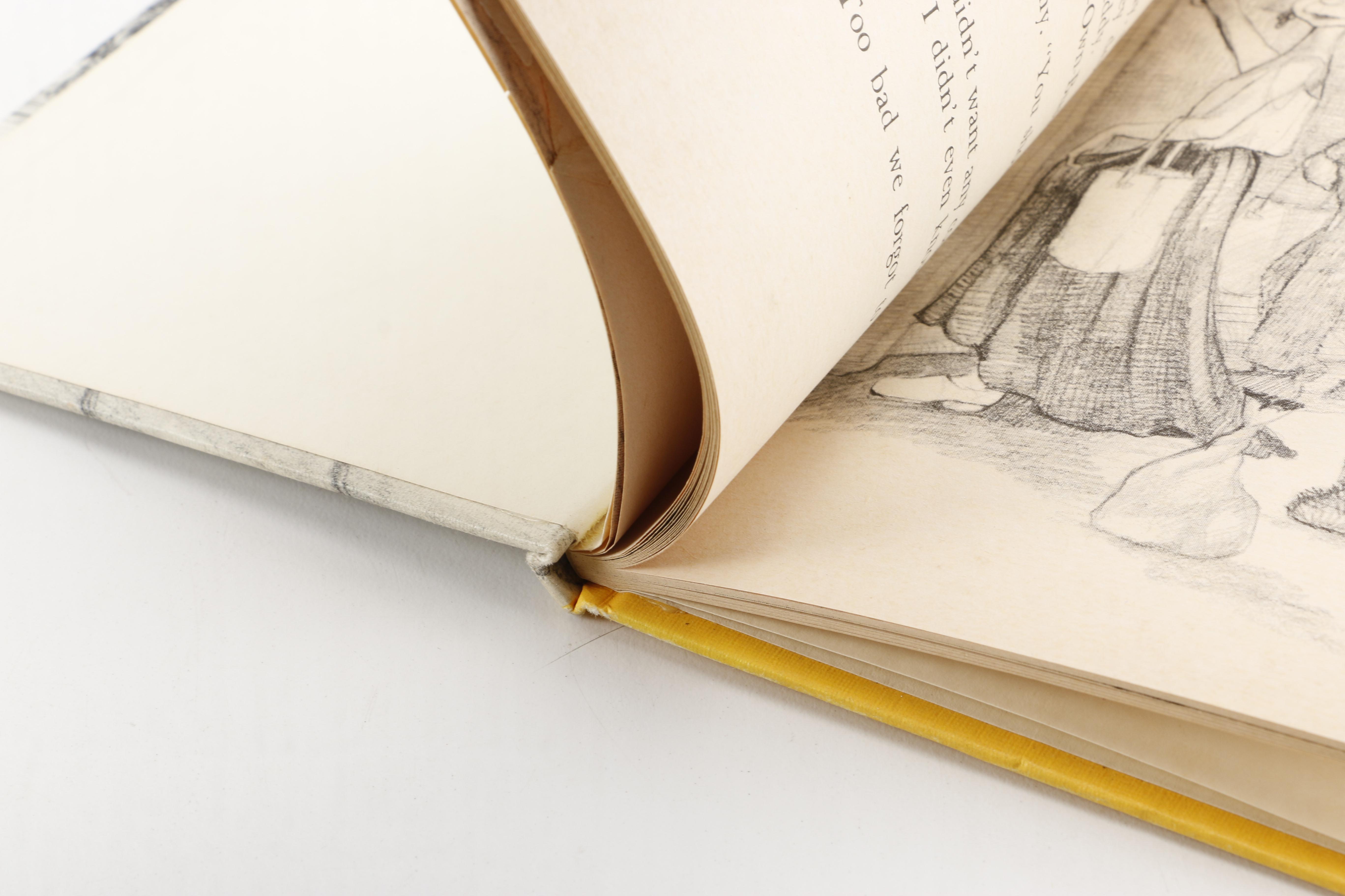 Vintage Children's Storybooks