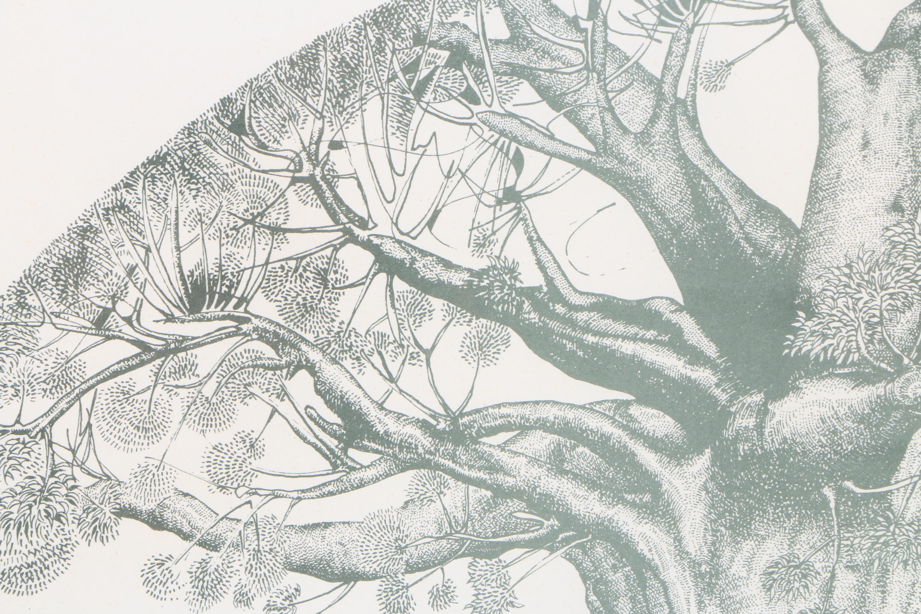 Limited Edition Lithograph on Paper of Baobab Tree