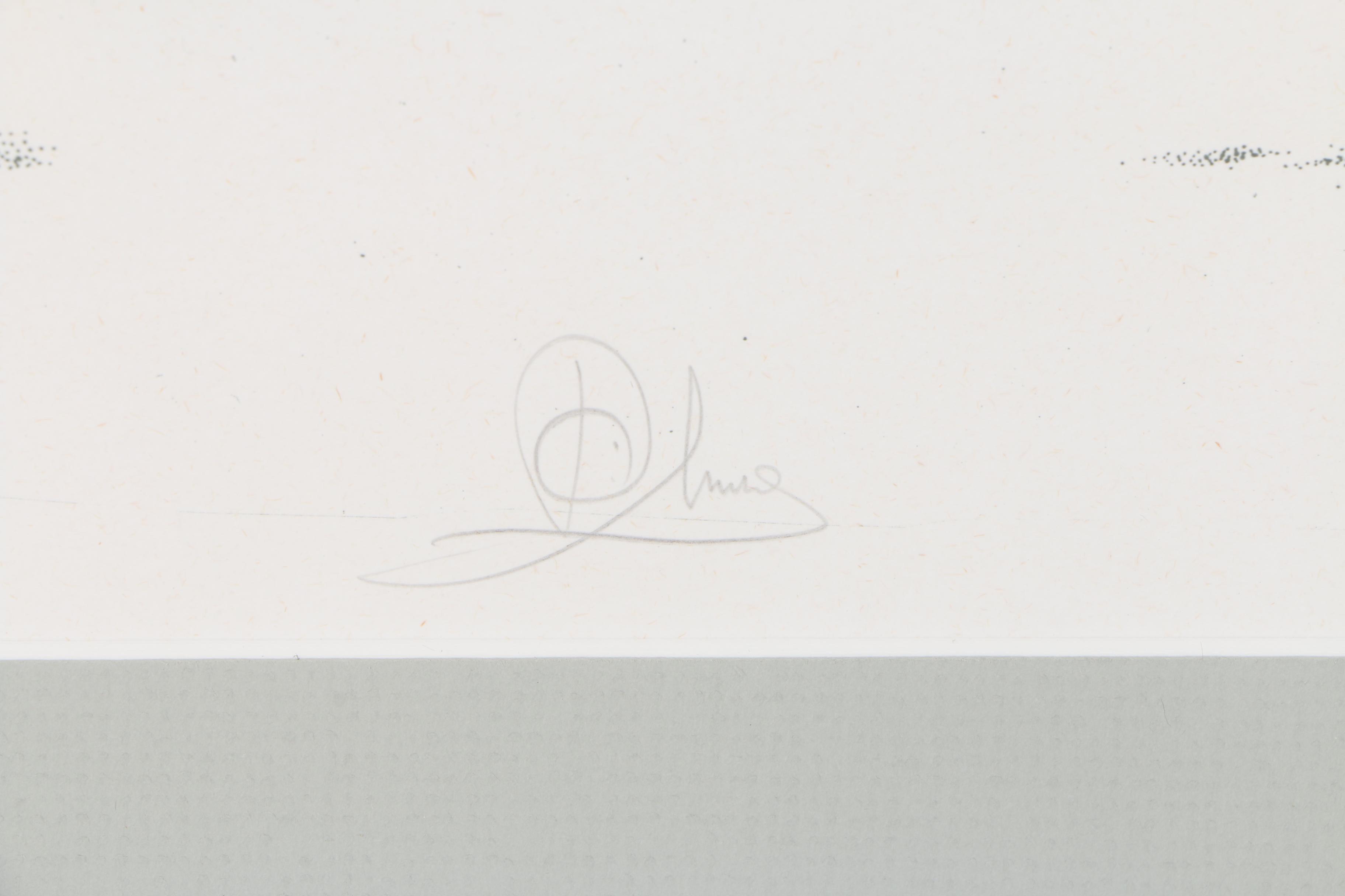 Limited Edition Lithograph on Paper of Baobab Tree