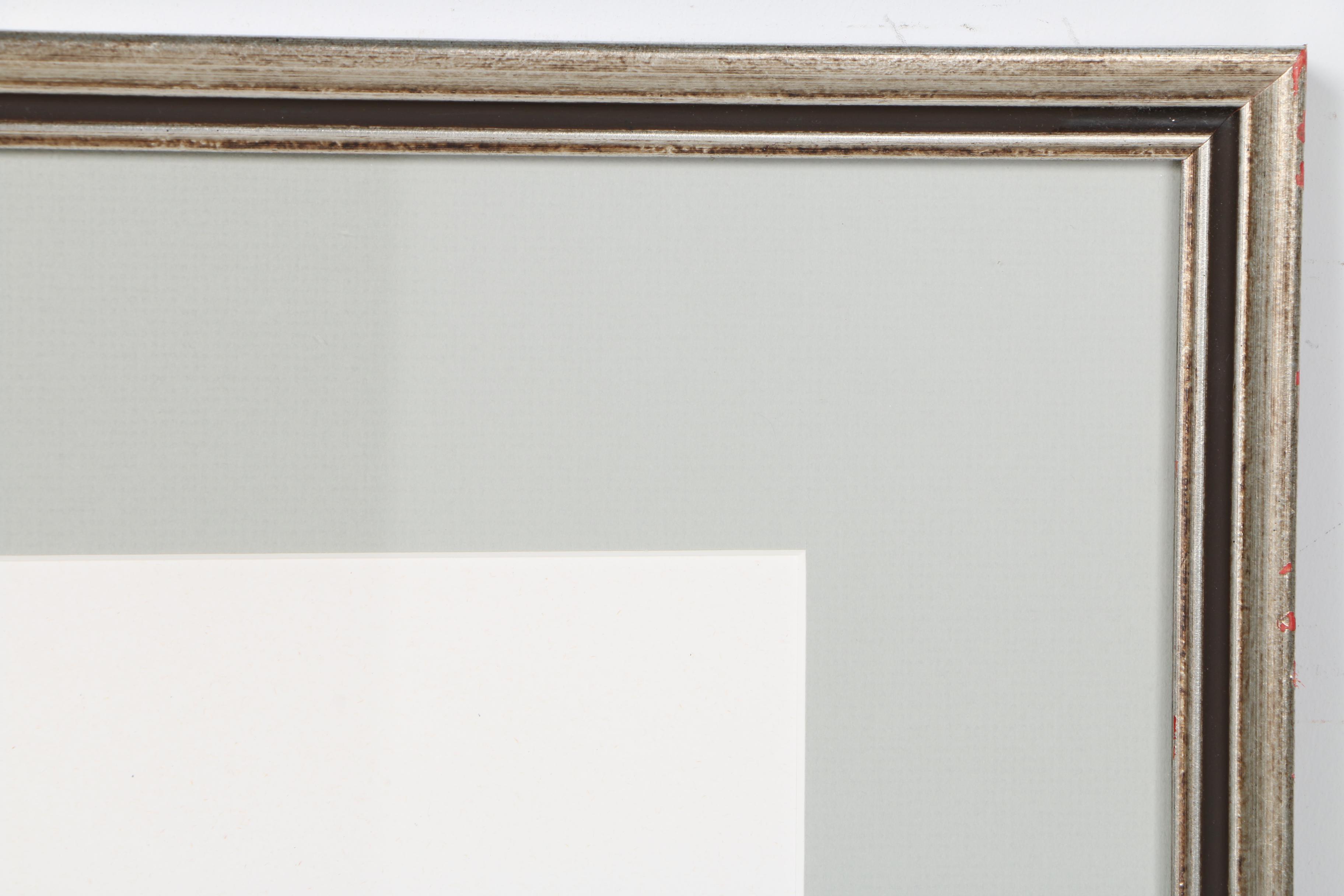 Limited Edition Lithograph on Paper of Baobab Tree