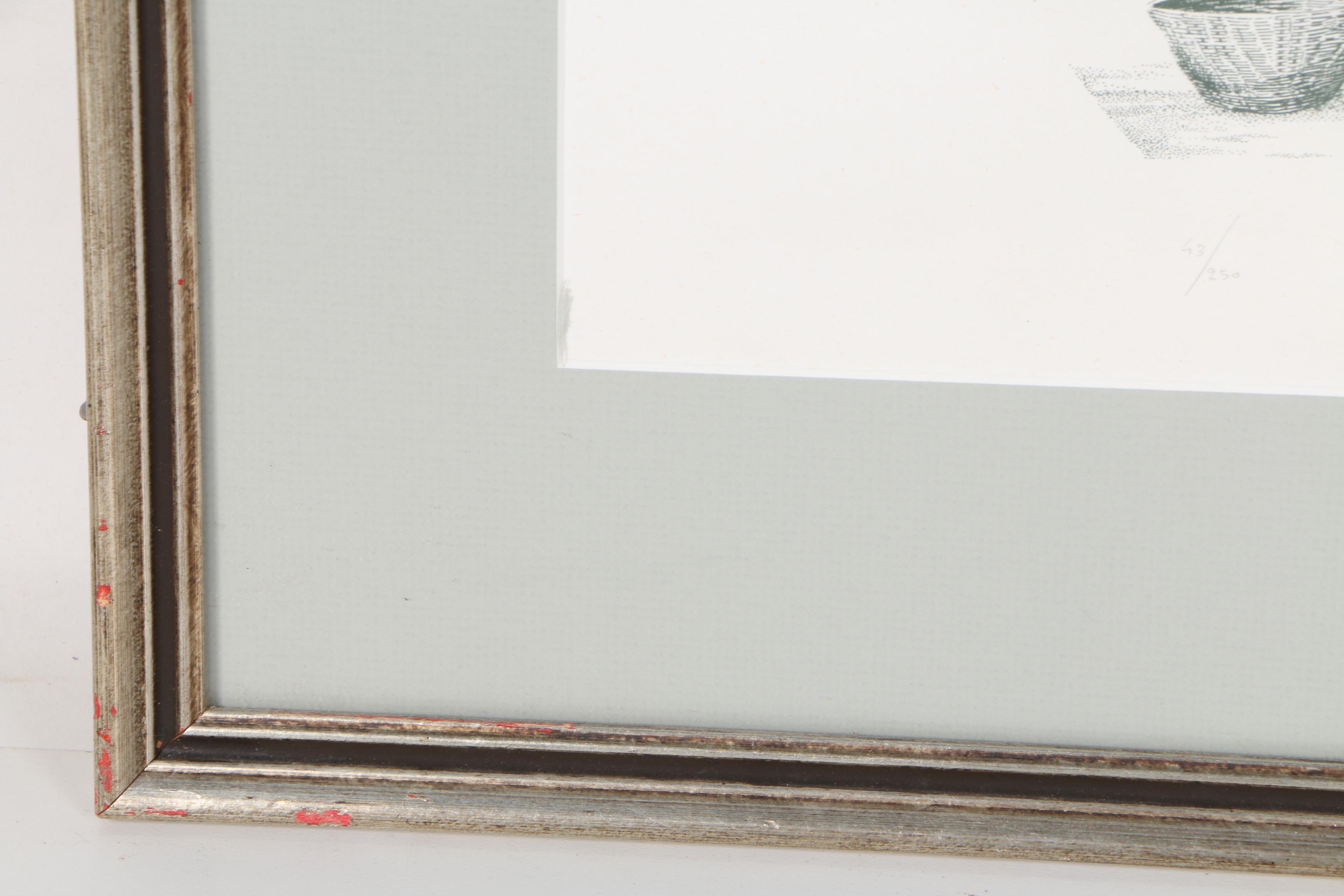 Limited Edition Lithograph on Paper of Baobab Tree