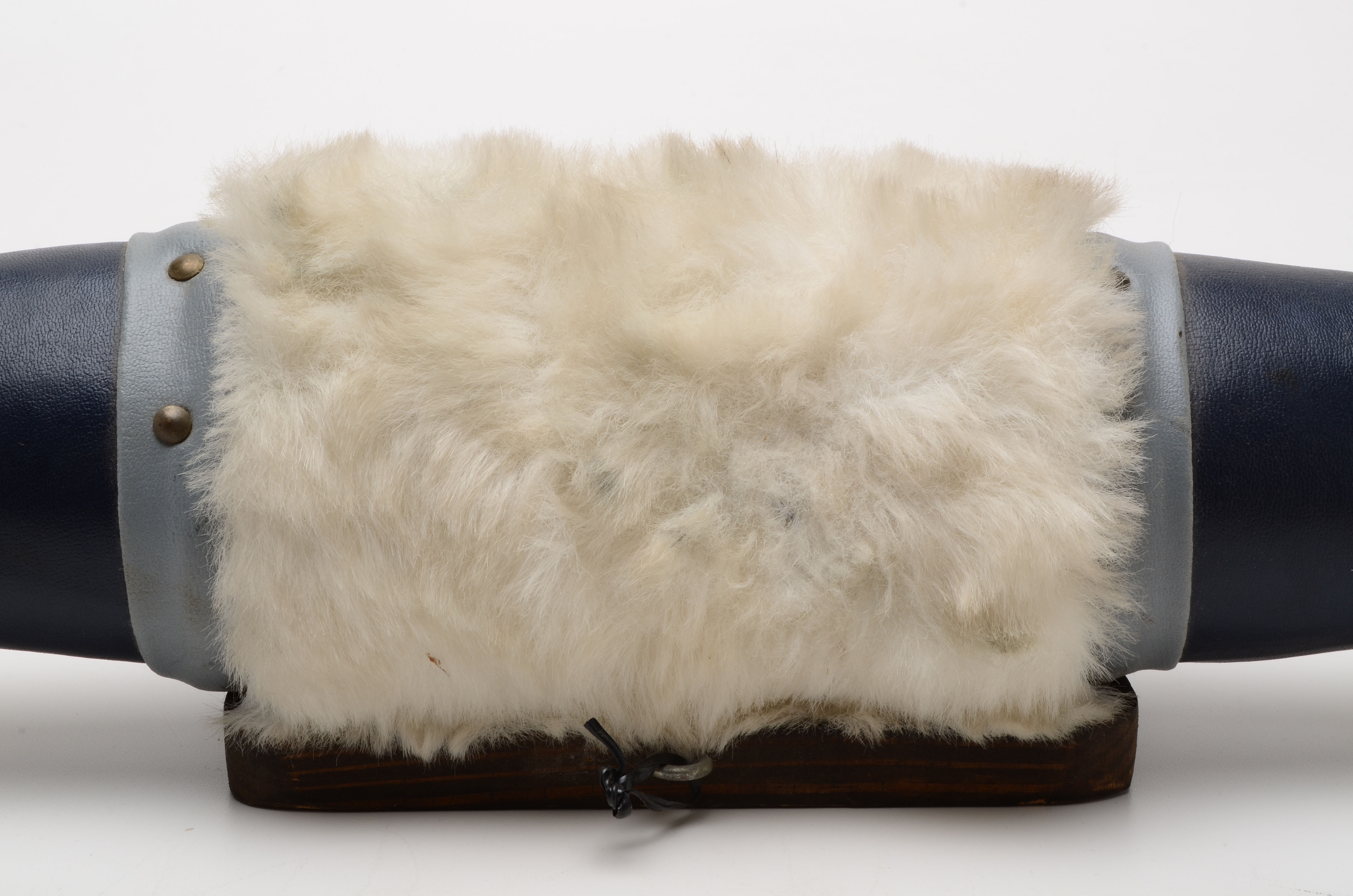 Mounted Polished Buffalo Horns