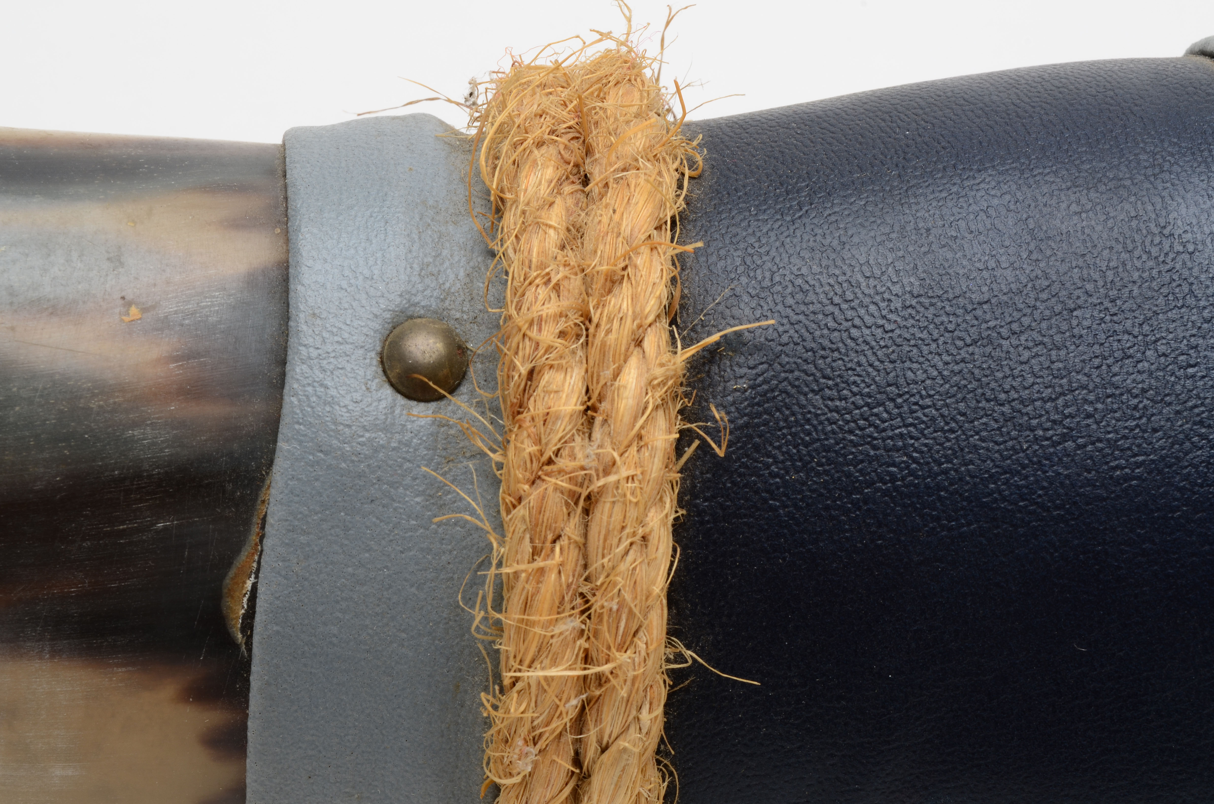 Mounted Polished Buffalo Horns