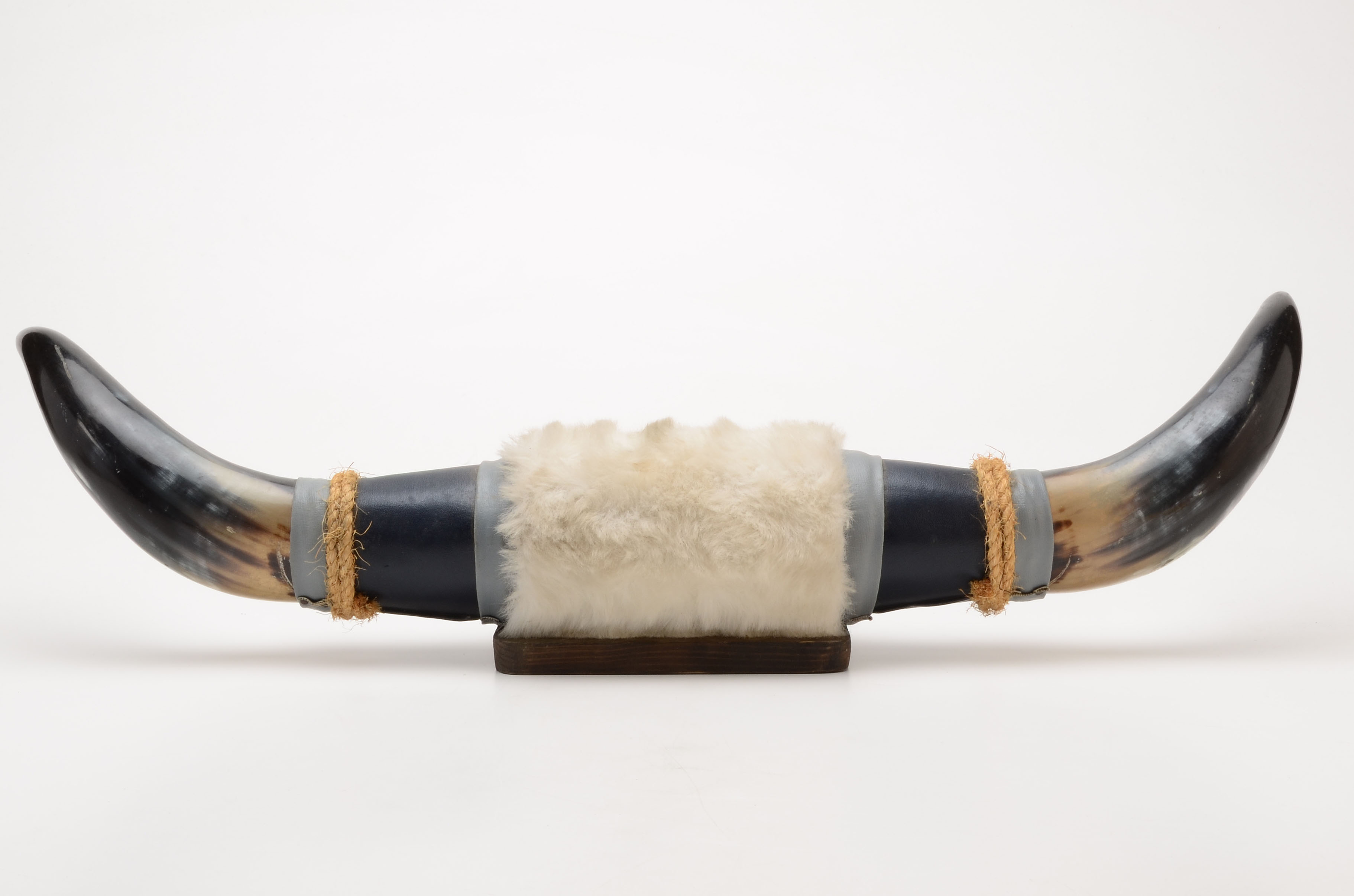 Mounted Polished Buffalo Horns